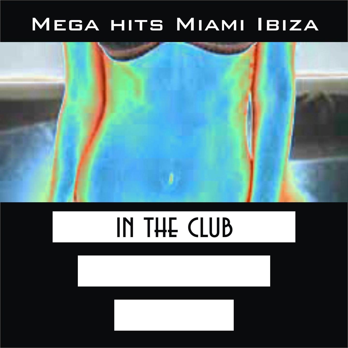 Постер альбома Mega Hits Miami Ibiza in the Club (Summer 2013 Essential for Djs)