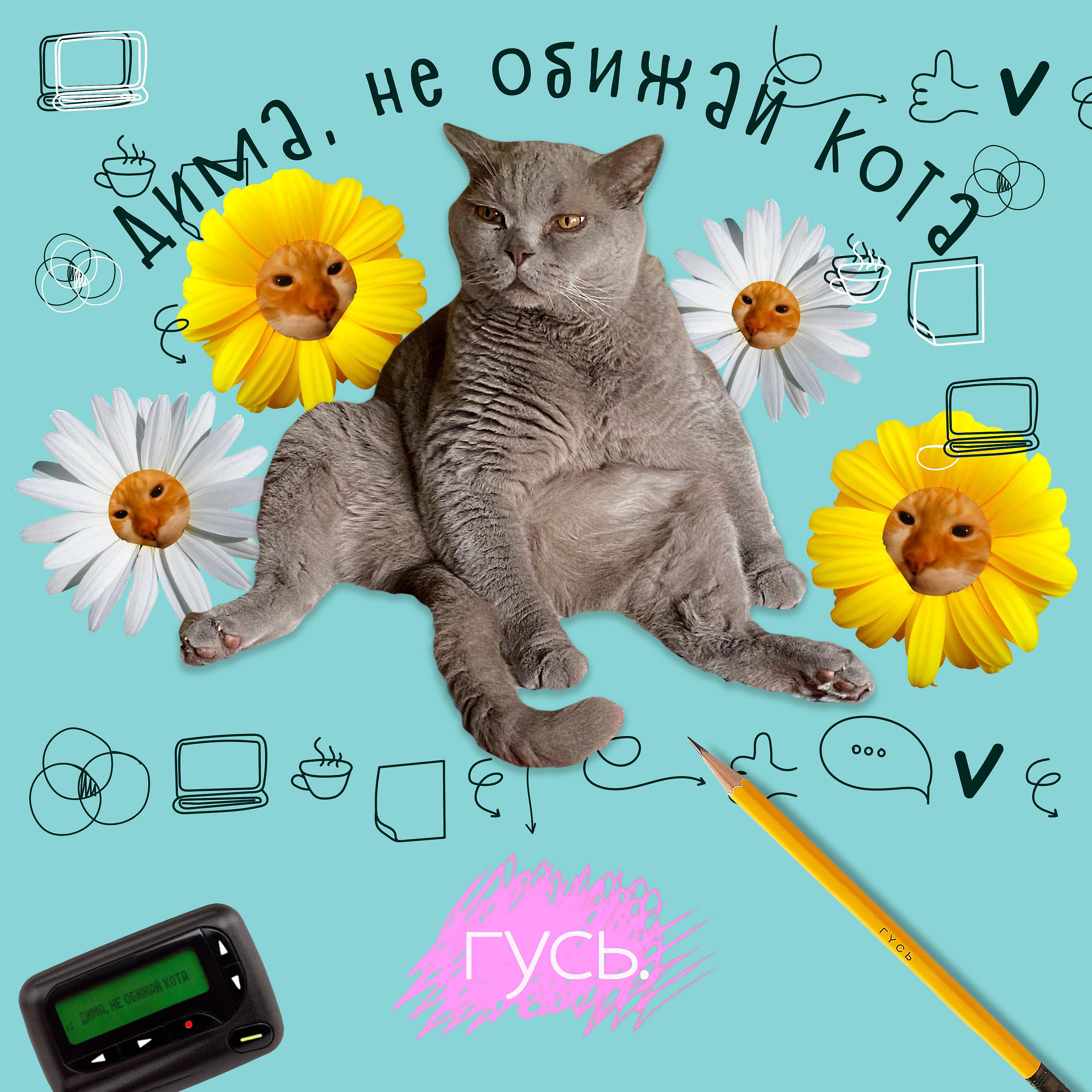 Постер альбома Дима, не обижай кота