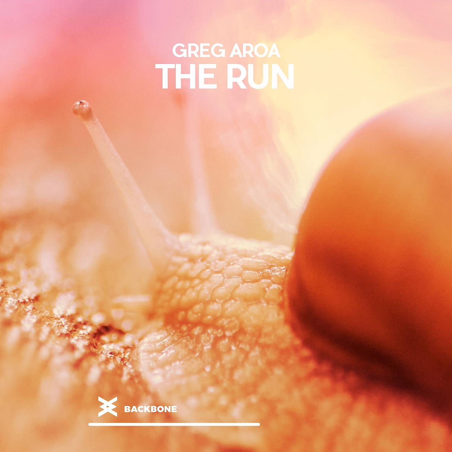 Постер альбома The Run