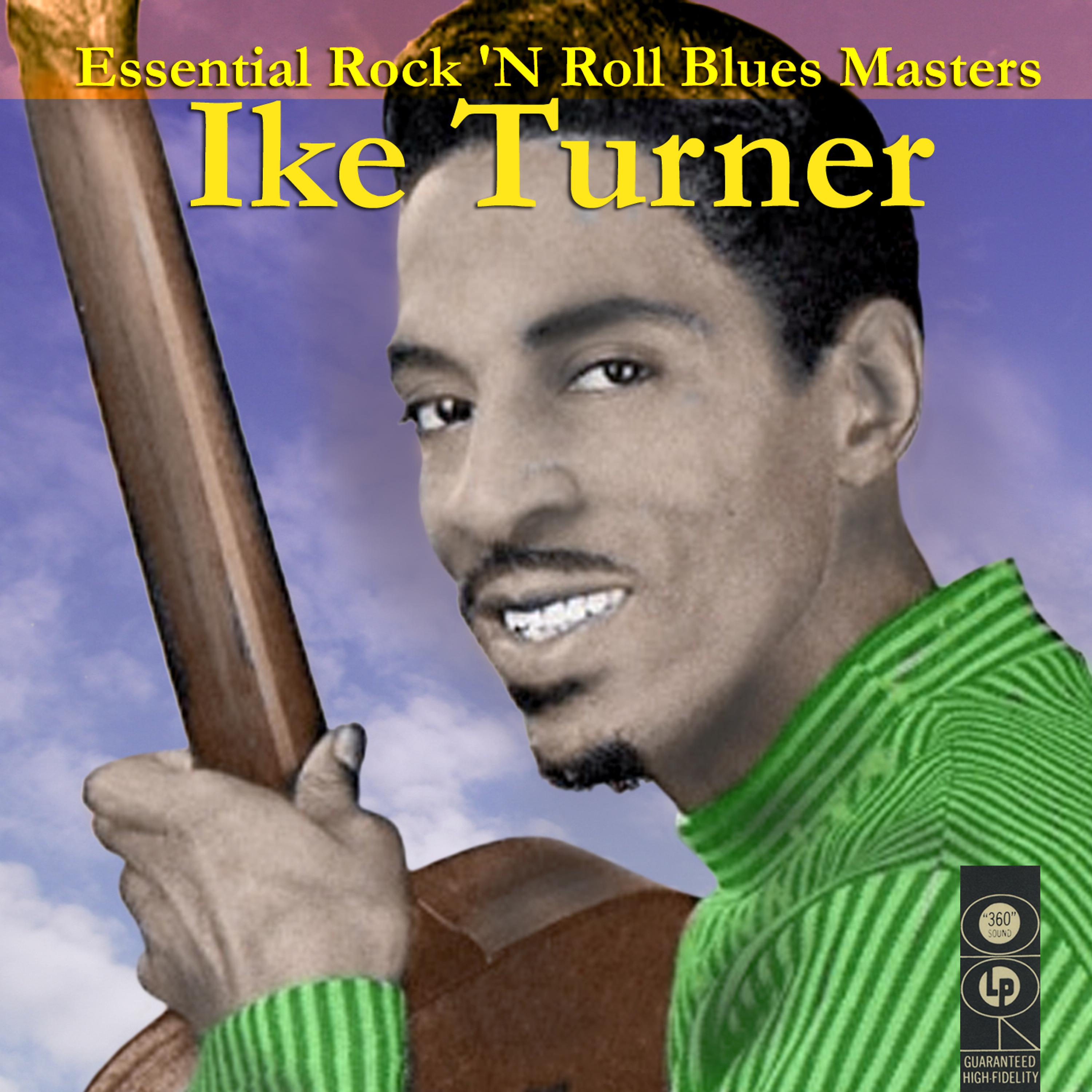 Постер альбома Essential Rock N' Roll Blues Masters