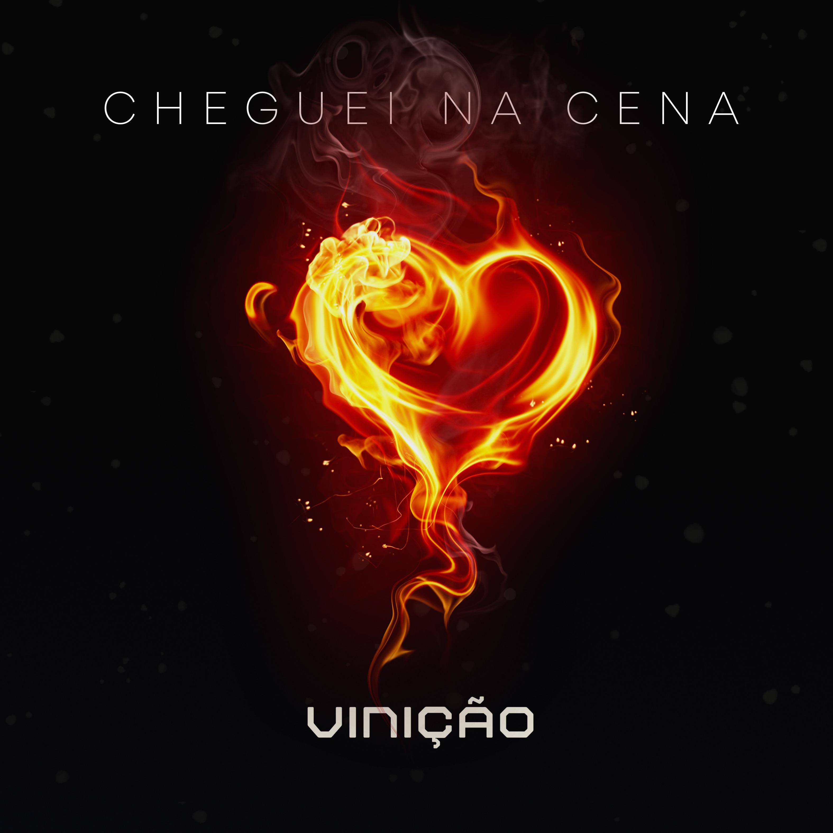 Постер альбома Cheguei Na Cena
