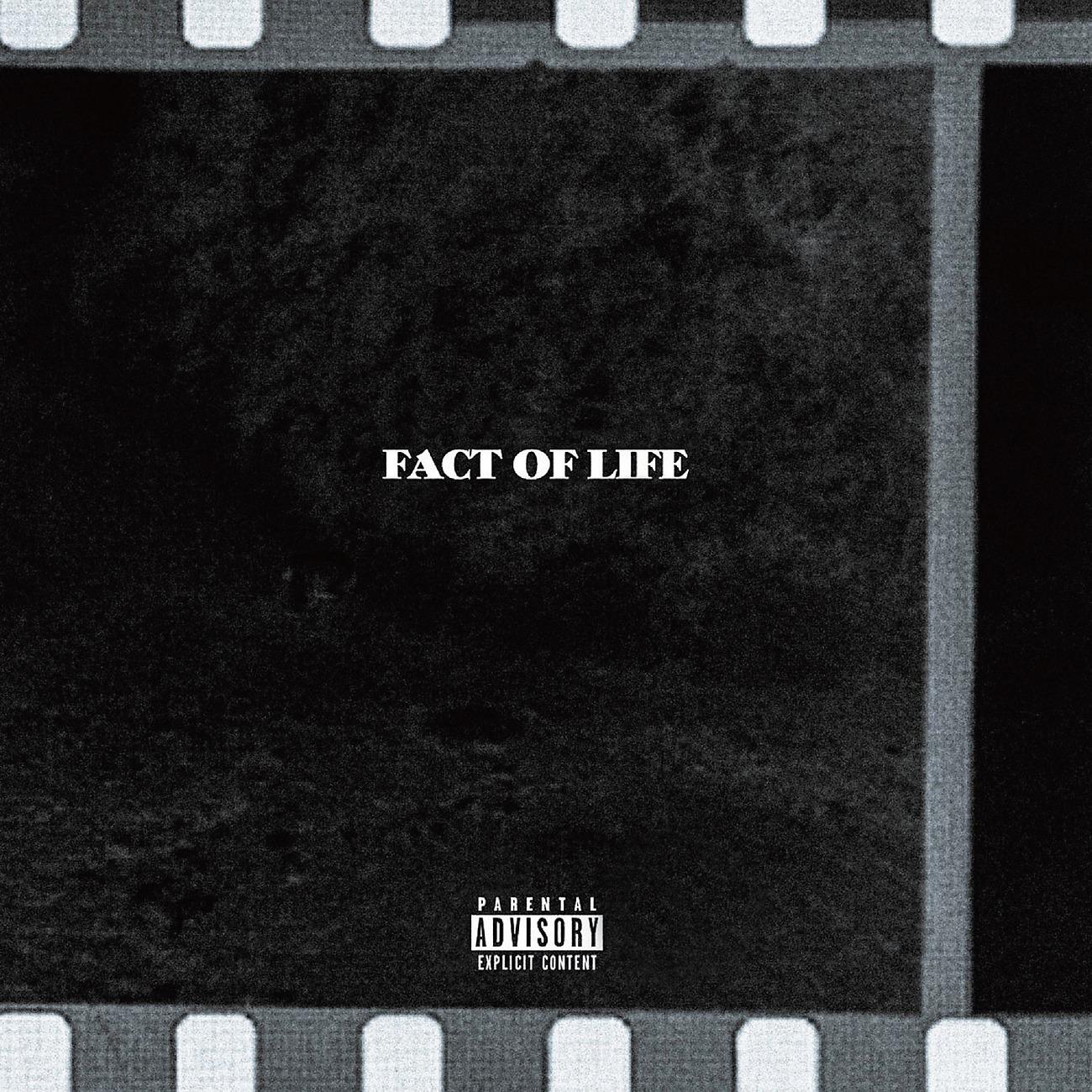 Постер альбома Fact Of Life