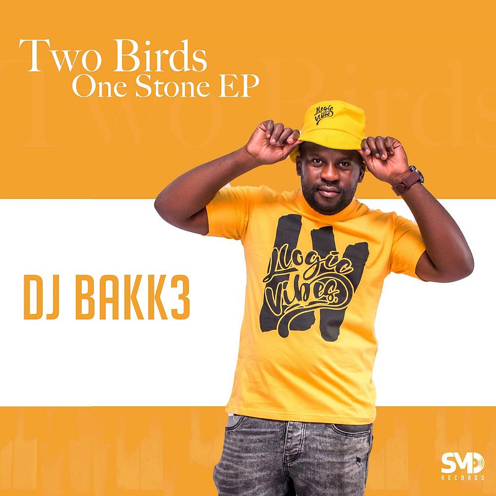 Постер альбома Two Birds One Stone EP