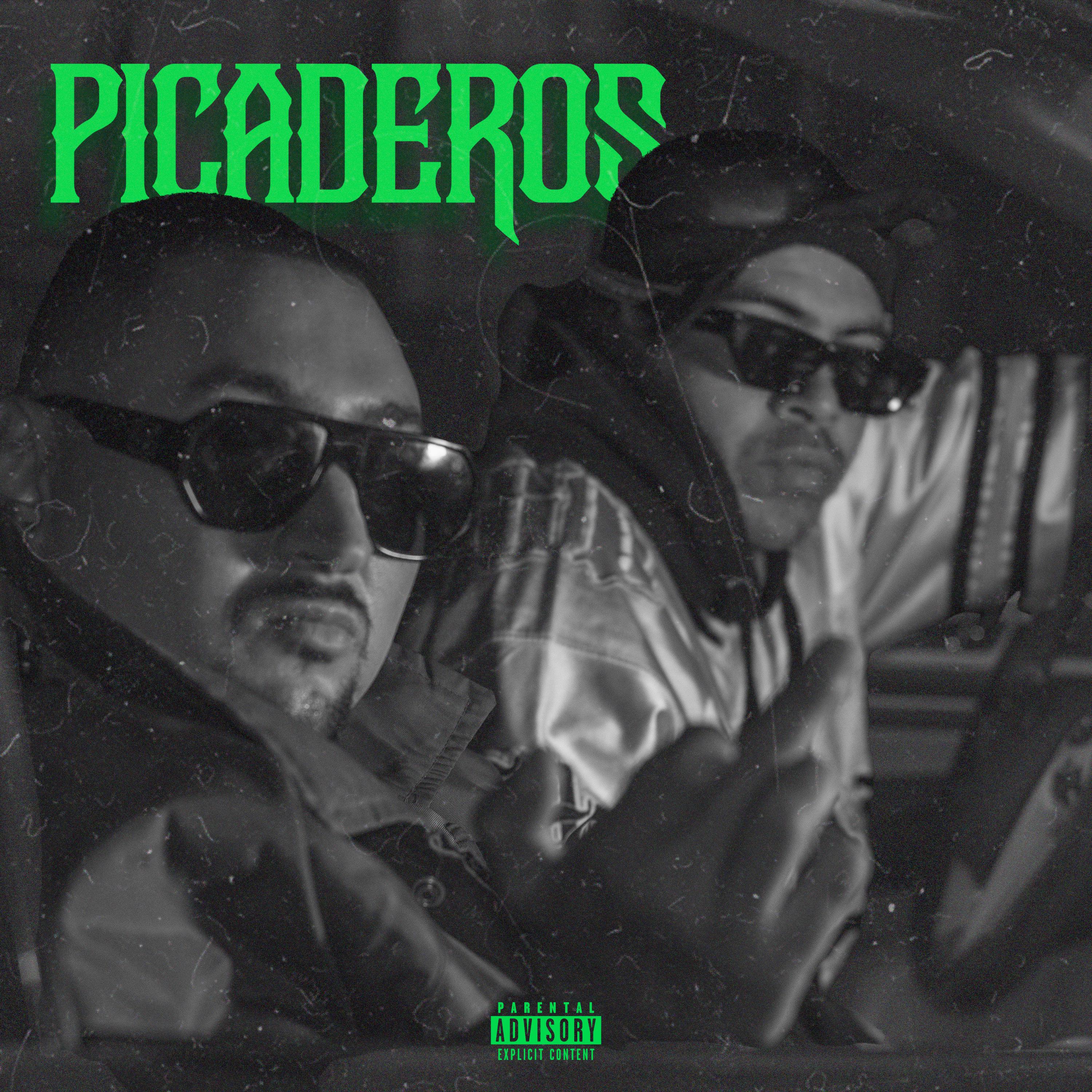 Постер альбома Picaderos