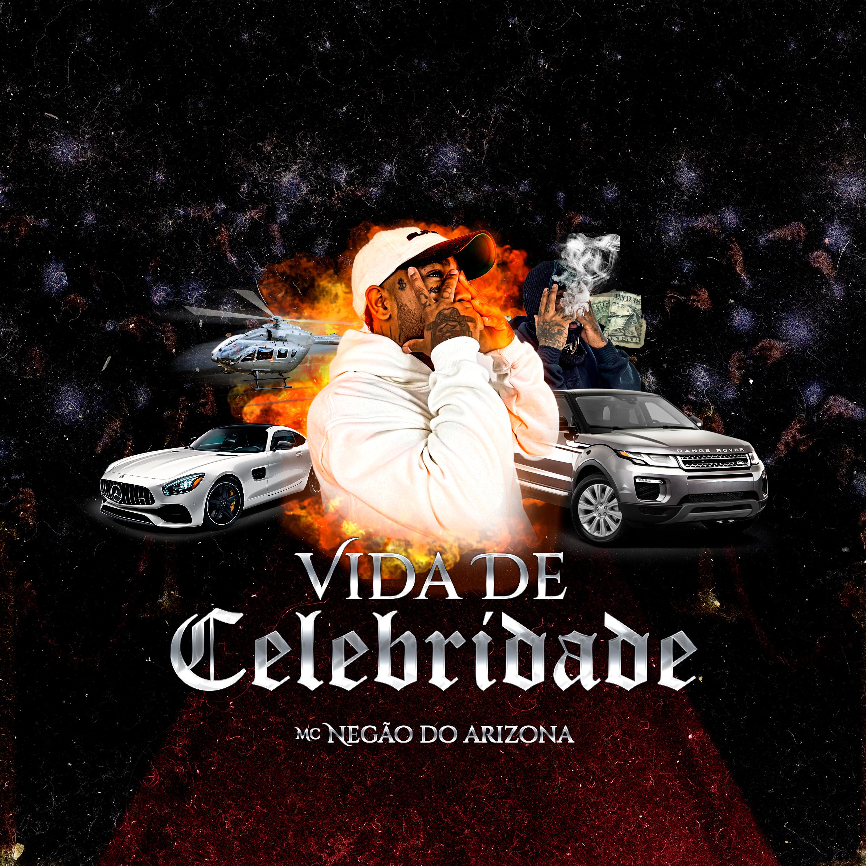Постер альбома Vida de Celebridade