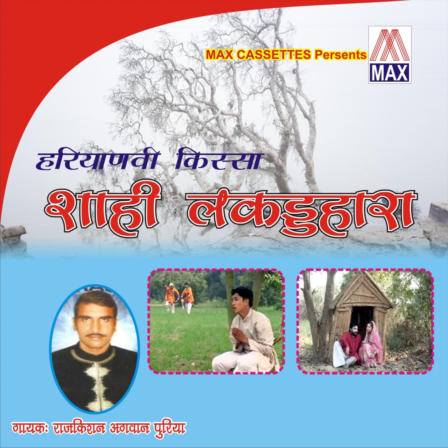 Постер альбома Haryanvi Kissa - Sahi Lakarhara