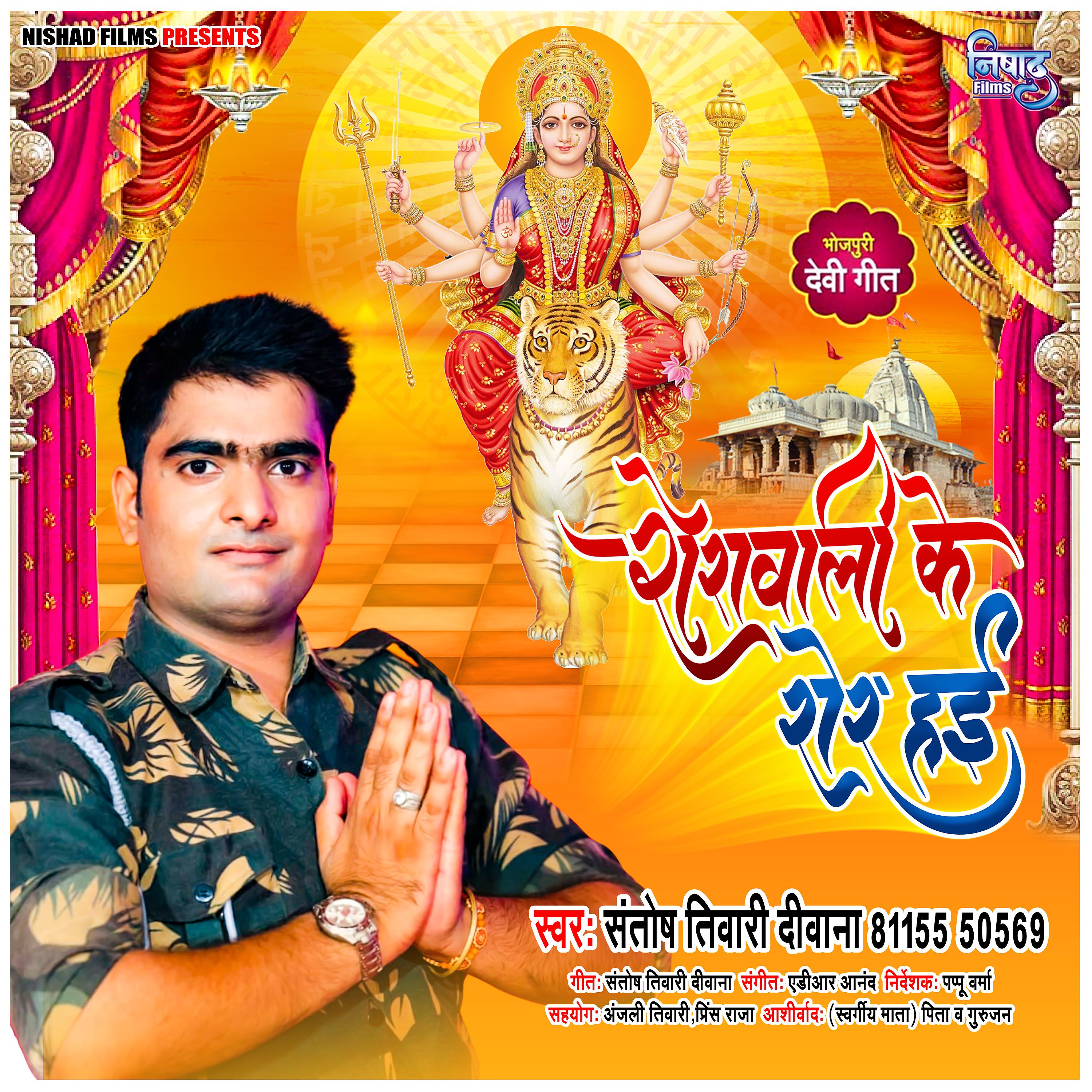 Постер альбома Sherawali Ke Sher Hai