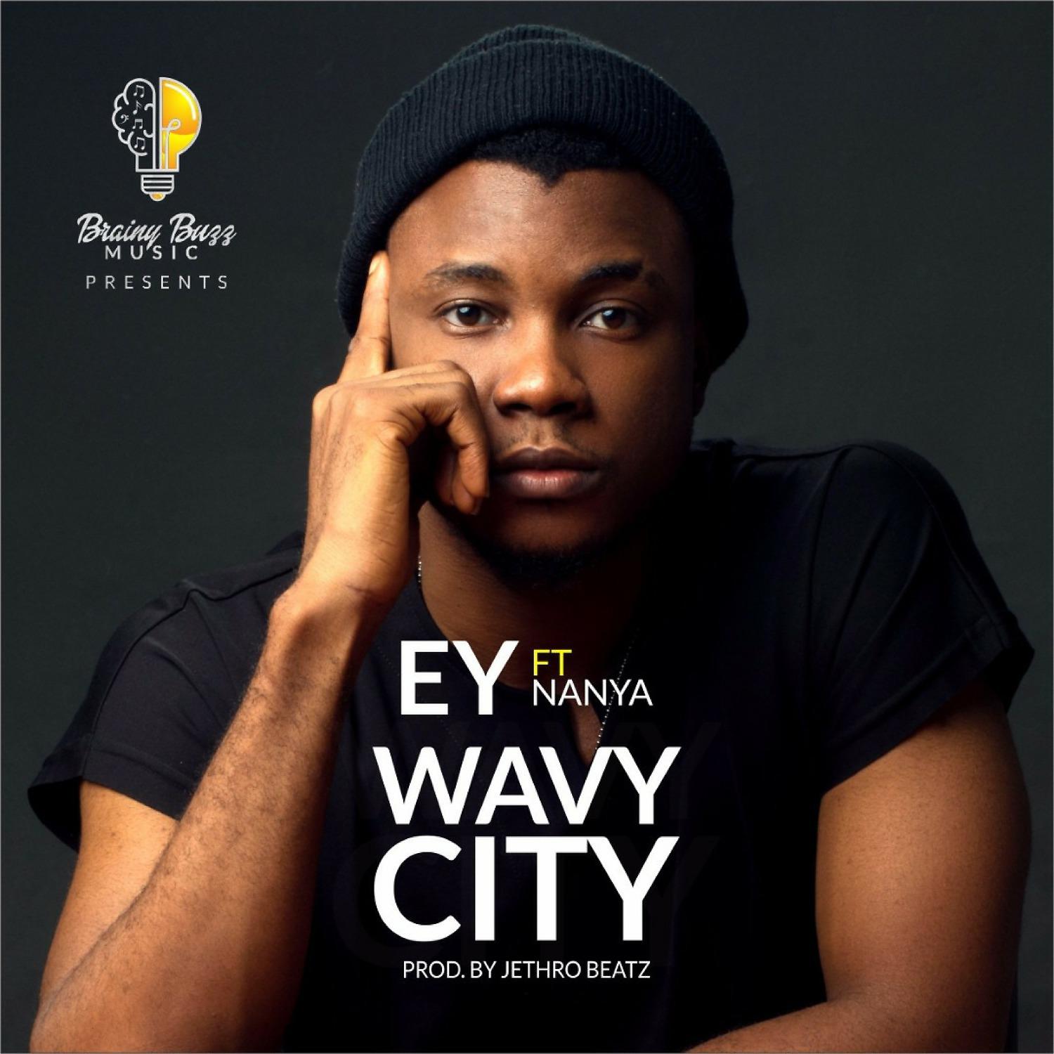 Постер альбома Wavy City