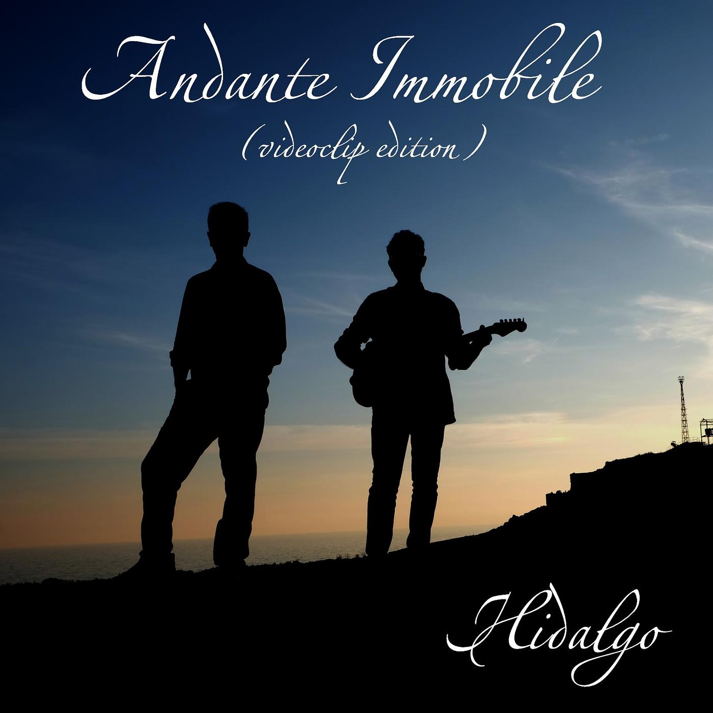Постер альбома Andante Immobile (videoclip edition)