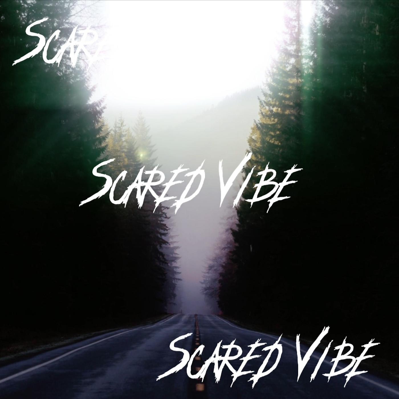 Постер альбома Scared Vibe