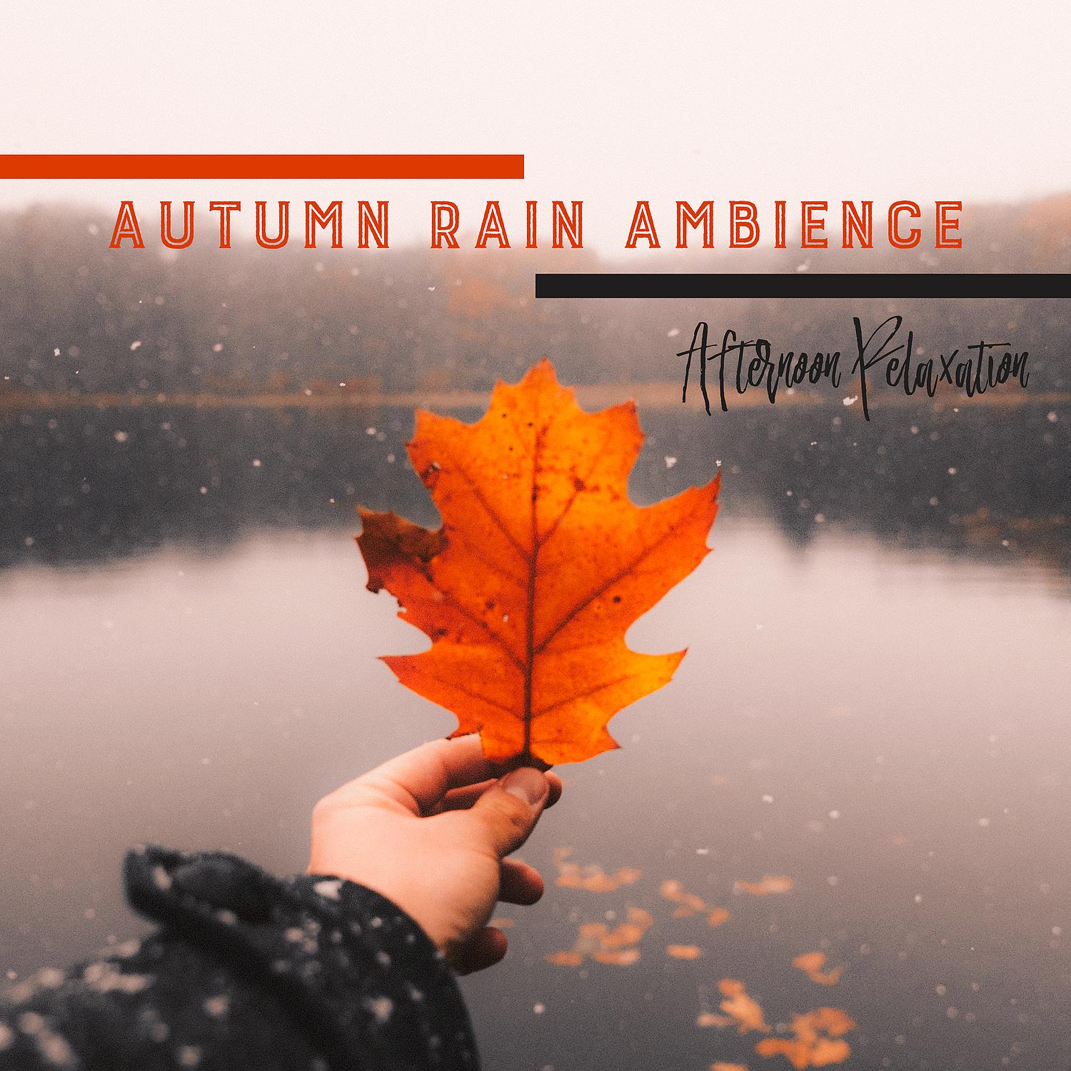 Постер альбома Autumn Rain Ambience: Afternoon Relaxation - Mindfulness Meditation, Sleep, Stress Relief, Yoga & Nature Sounds