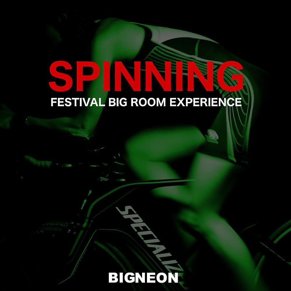 Постер альбома Spinning (Festival Big Room Experience)