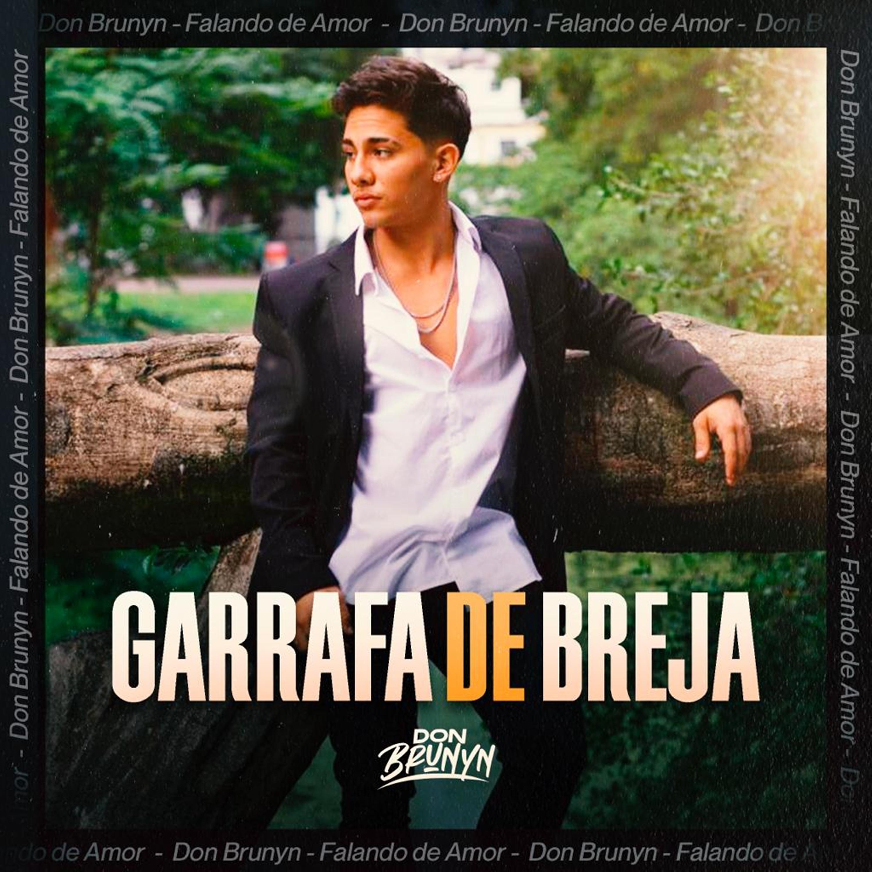 Постер альбома Garrafa de Breja