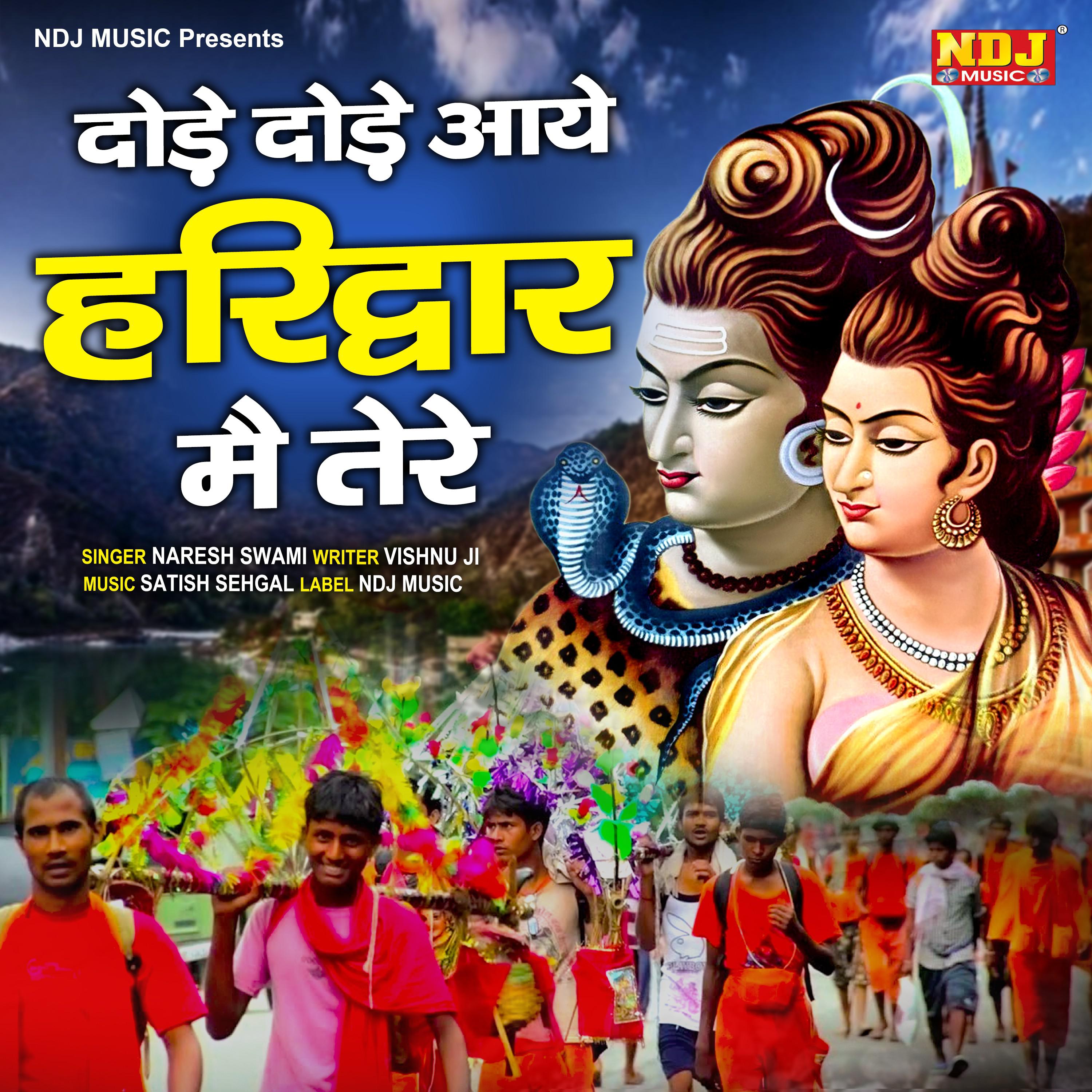 Постер альбома Dode Dode Aaye Haridwar Me Tere