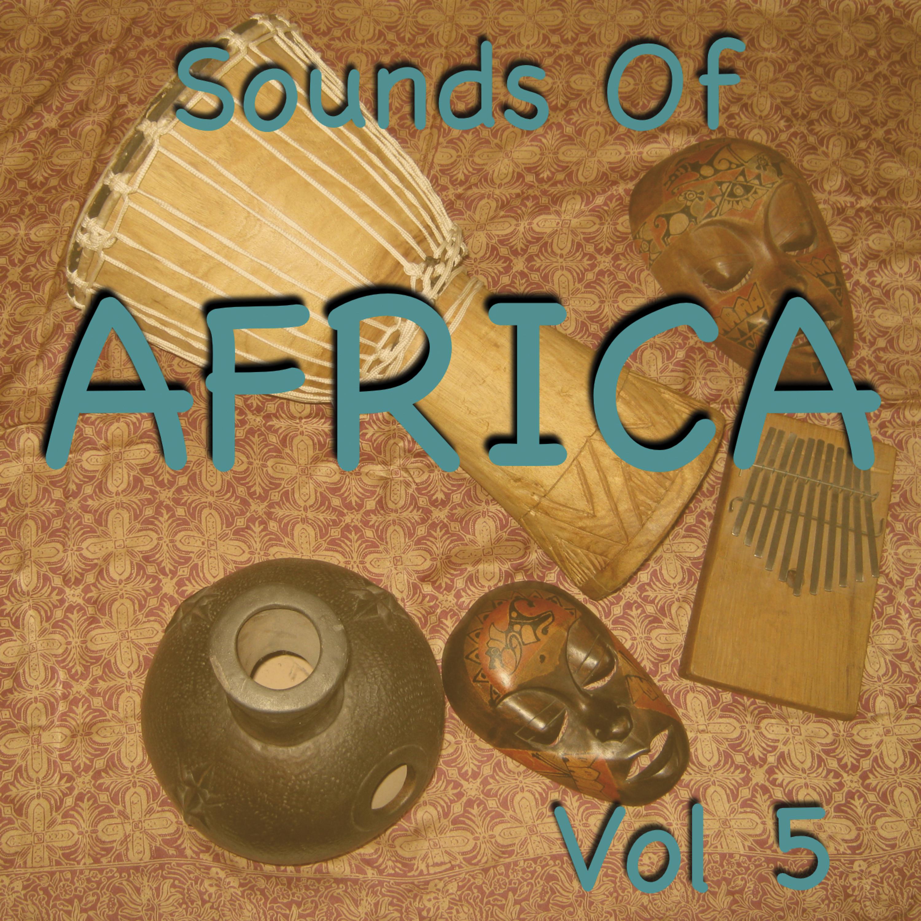 Постер альбома Sounds Of Africa Vol 5