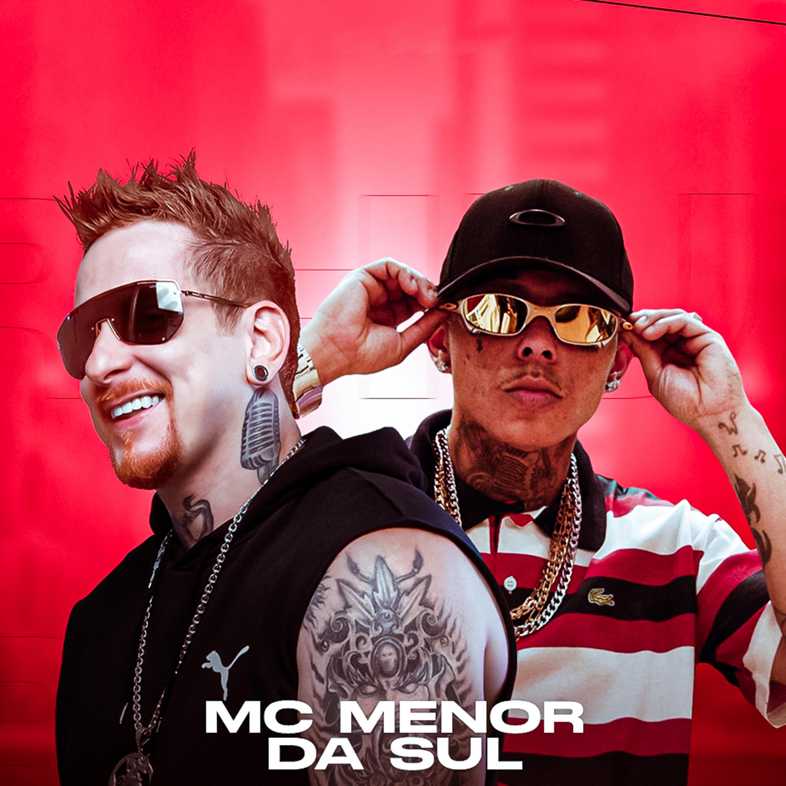 Постер альбома Mc Menor da Sul