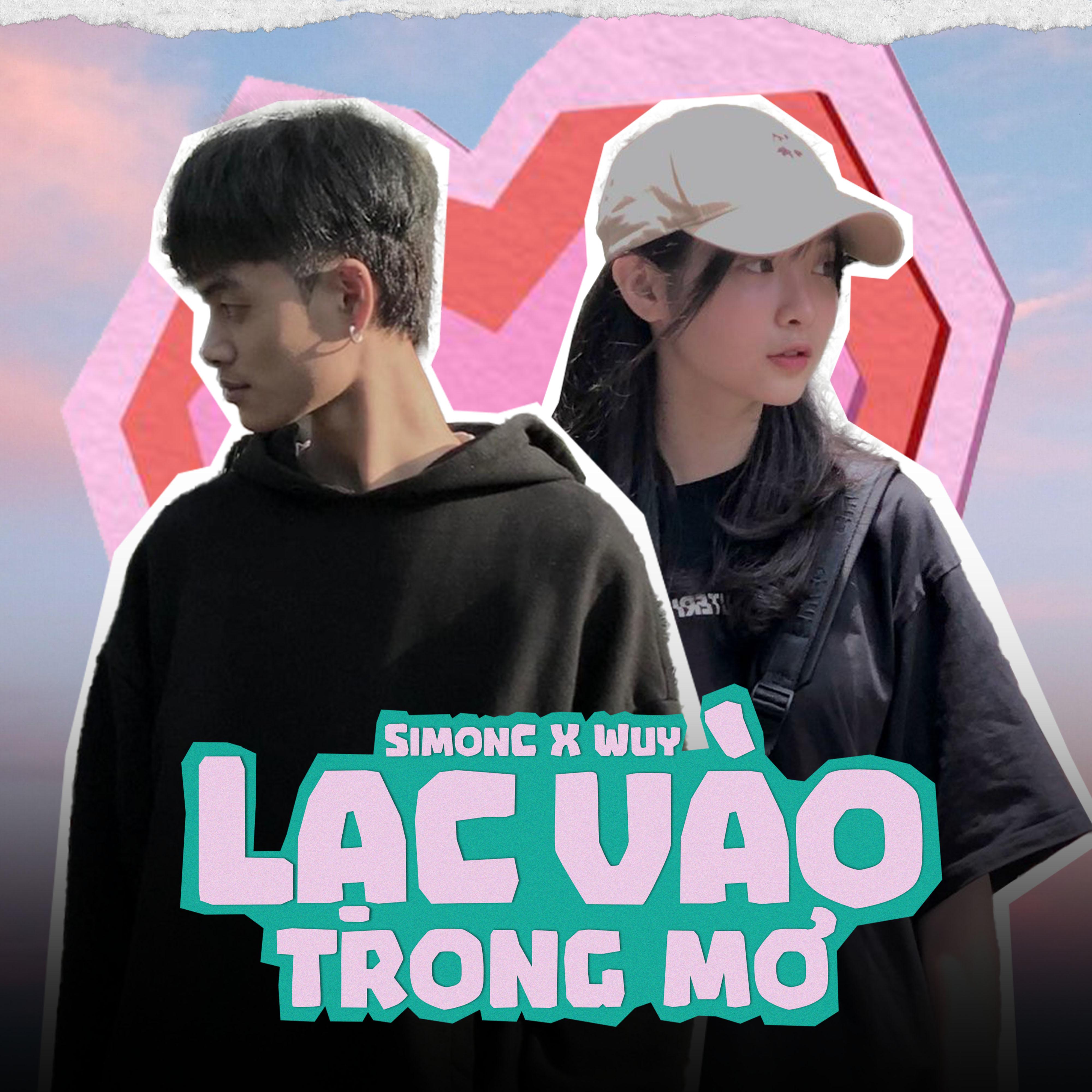 Постер альбома Lạc Vào Trong Mơ