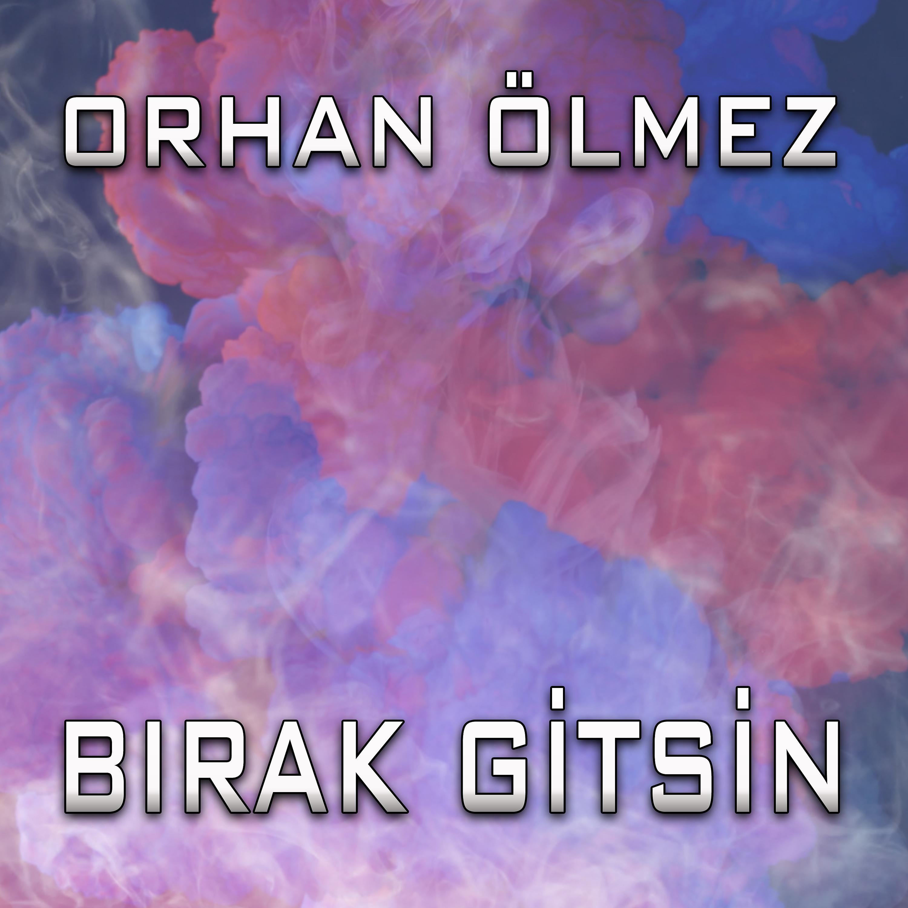 Постер альбома Bırak Gitsin