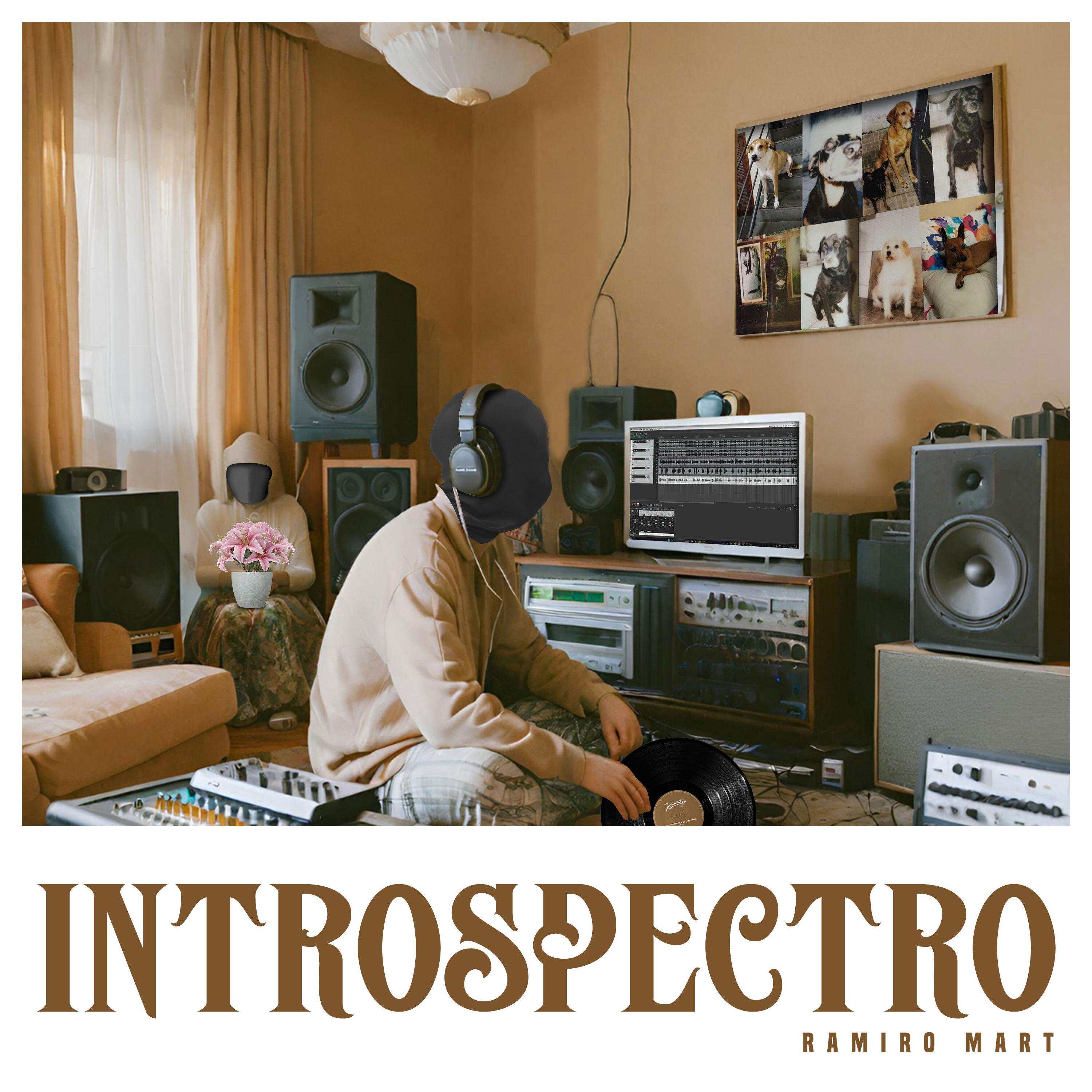 Постер альбома Introspectro
