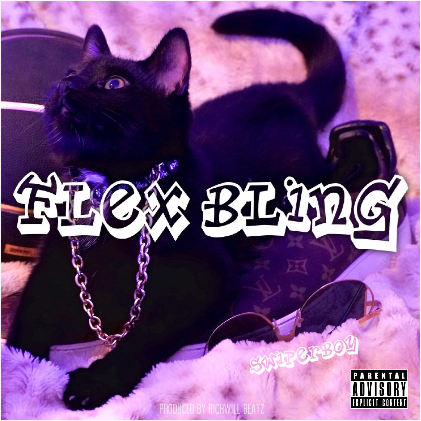 Постер альбома Flex Bling