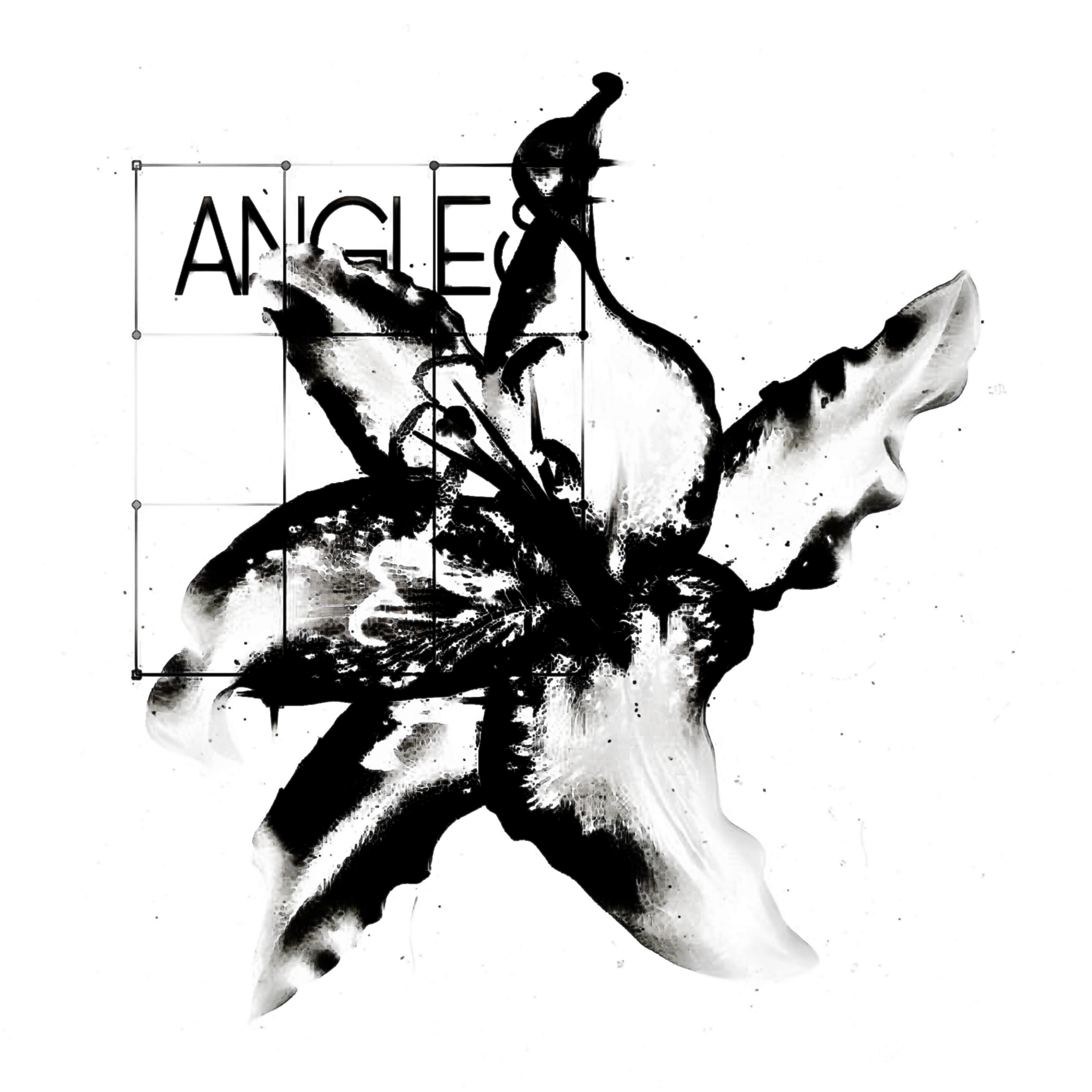 Постер альбома Angles