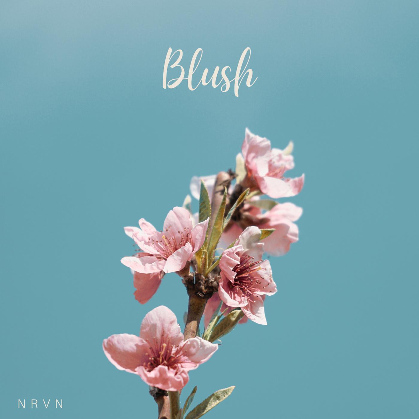 Постер альбома Blush