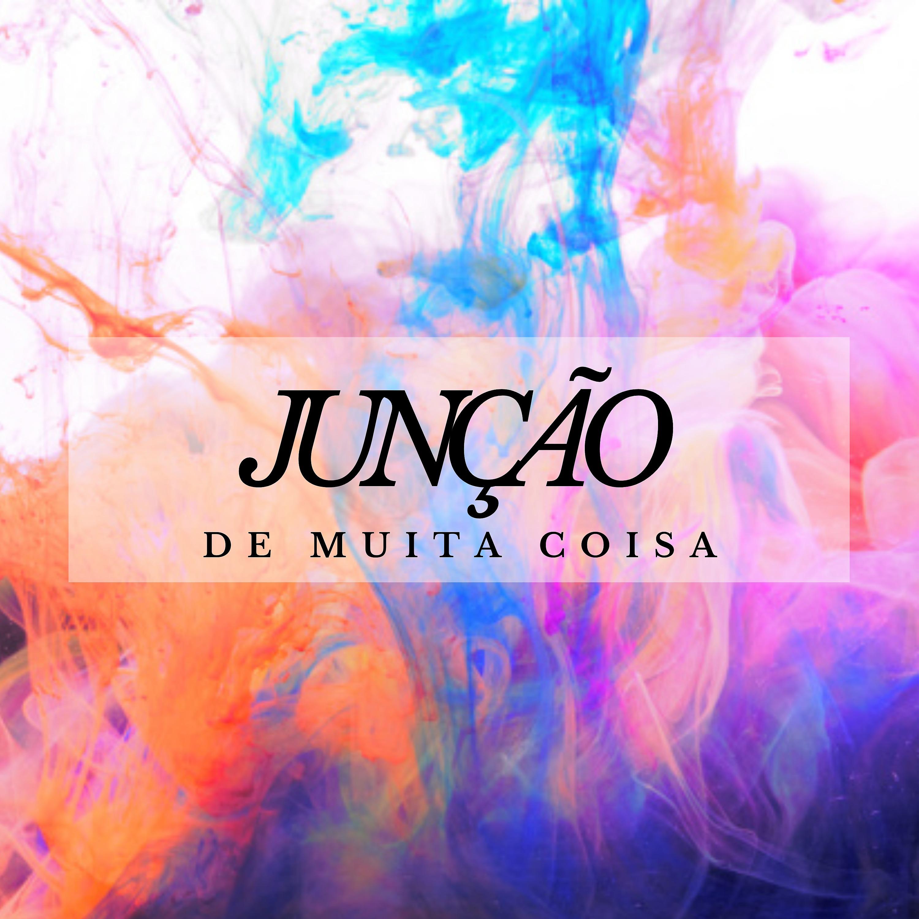 Постер альбома Junção de Muita Coisa