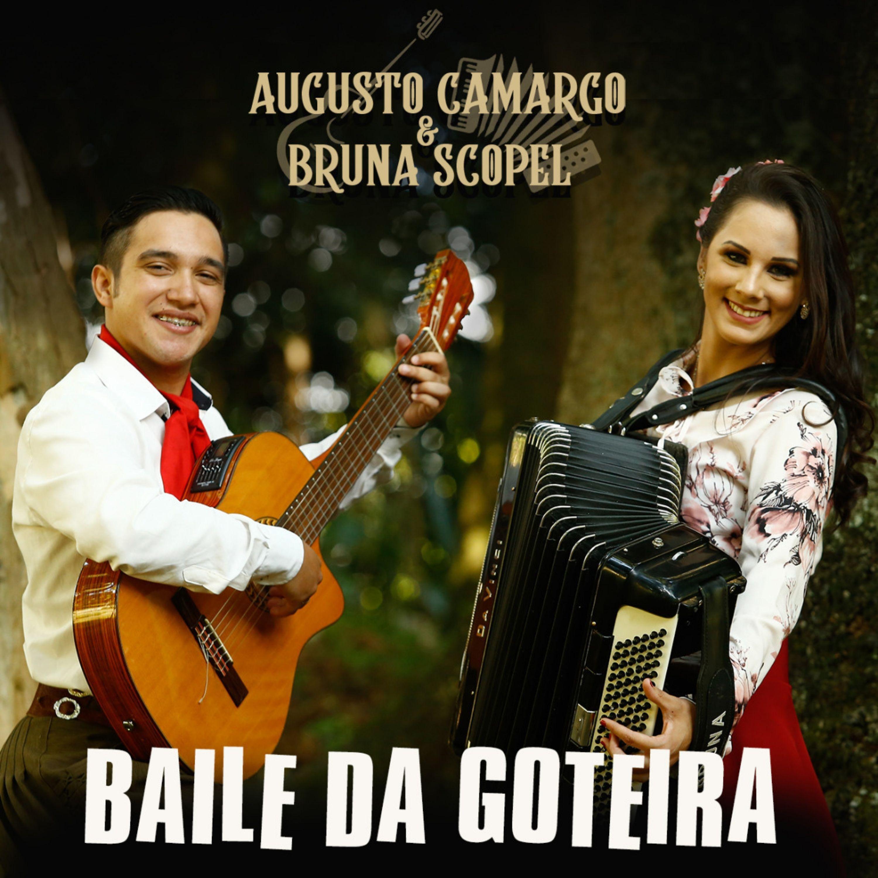 Постер альбома Baile da Goteira