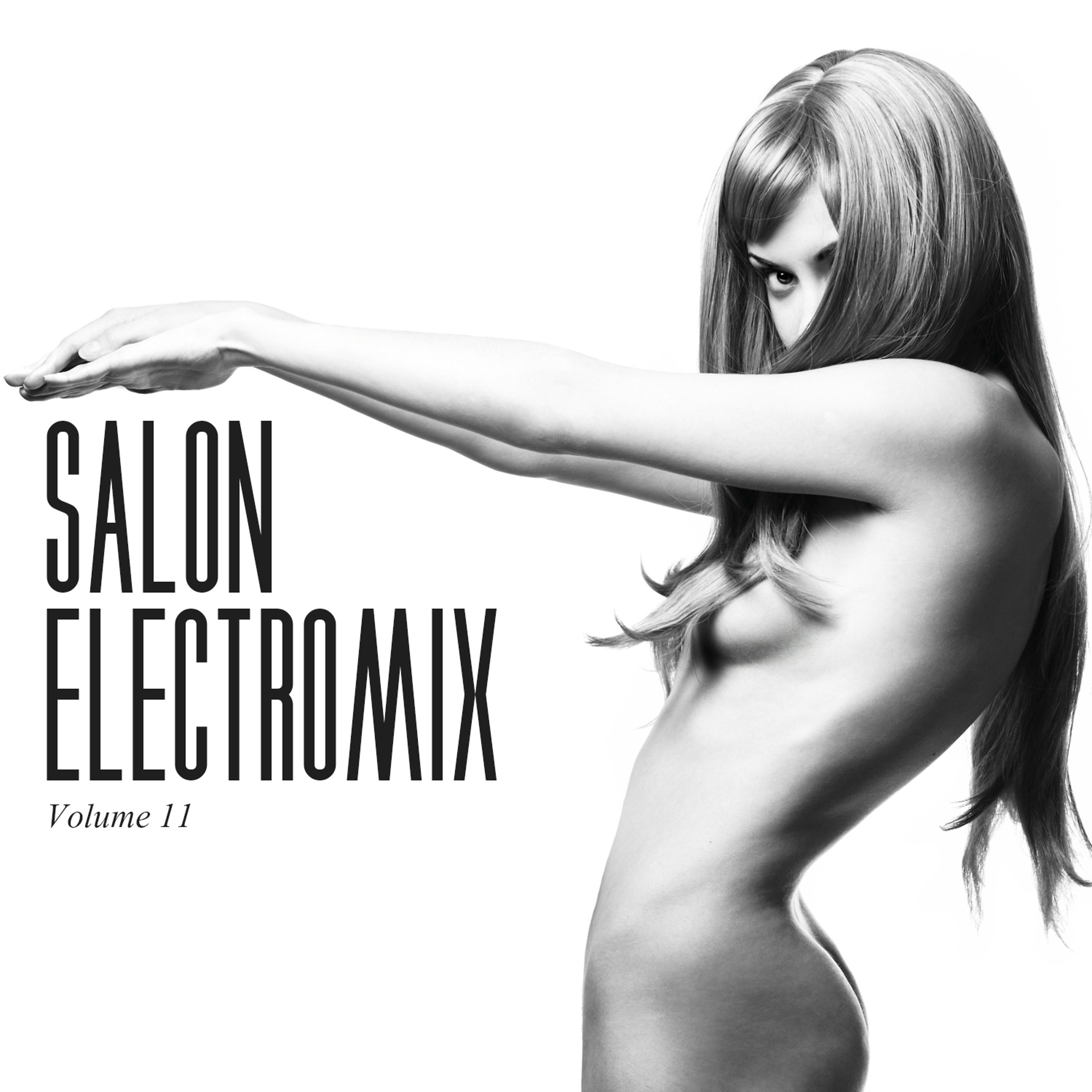 Постер альбома Salon Electromix, Vol. 11