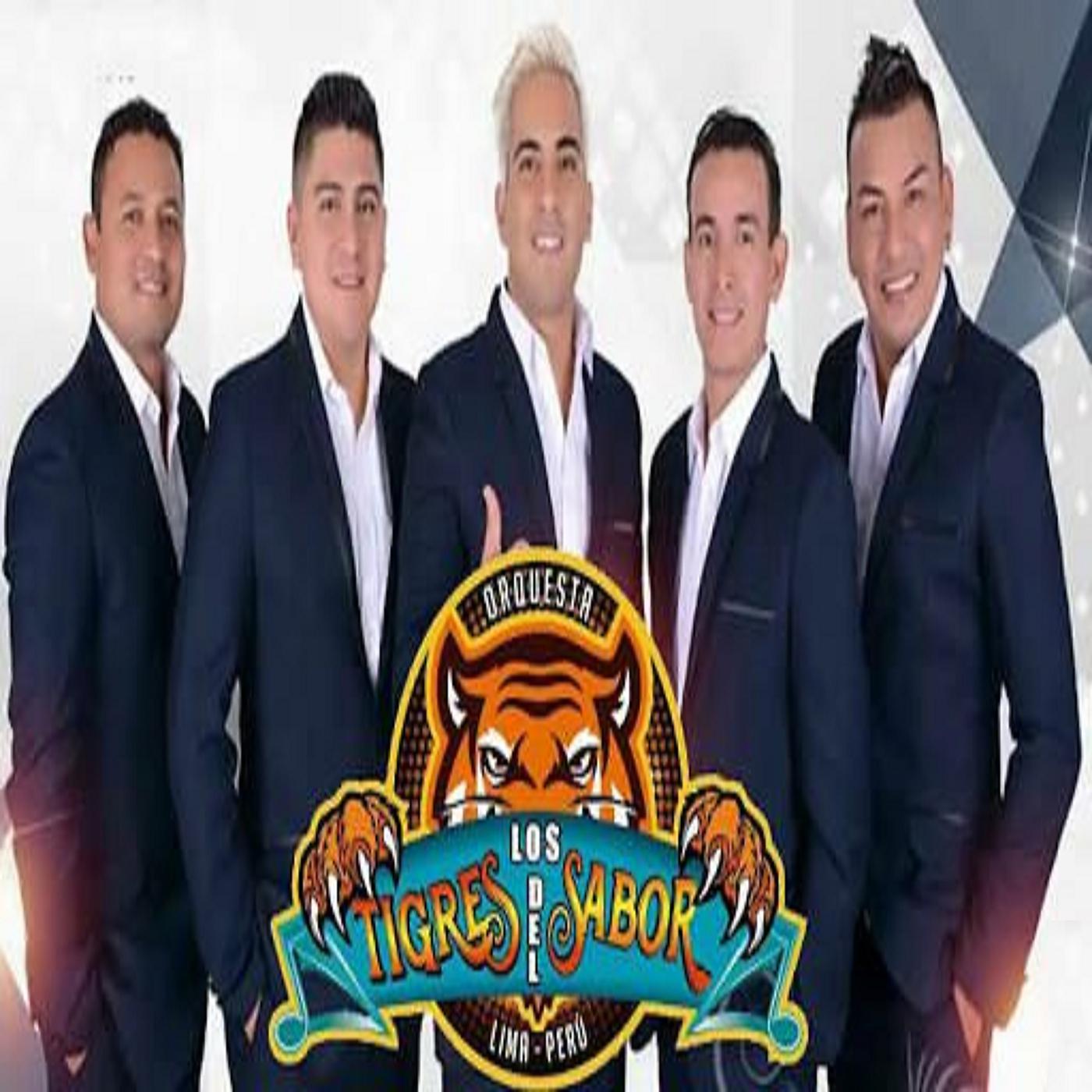 Постер альбома Los Tigres