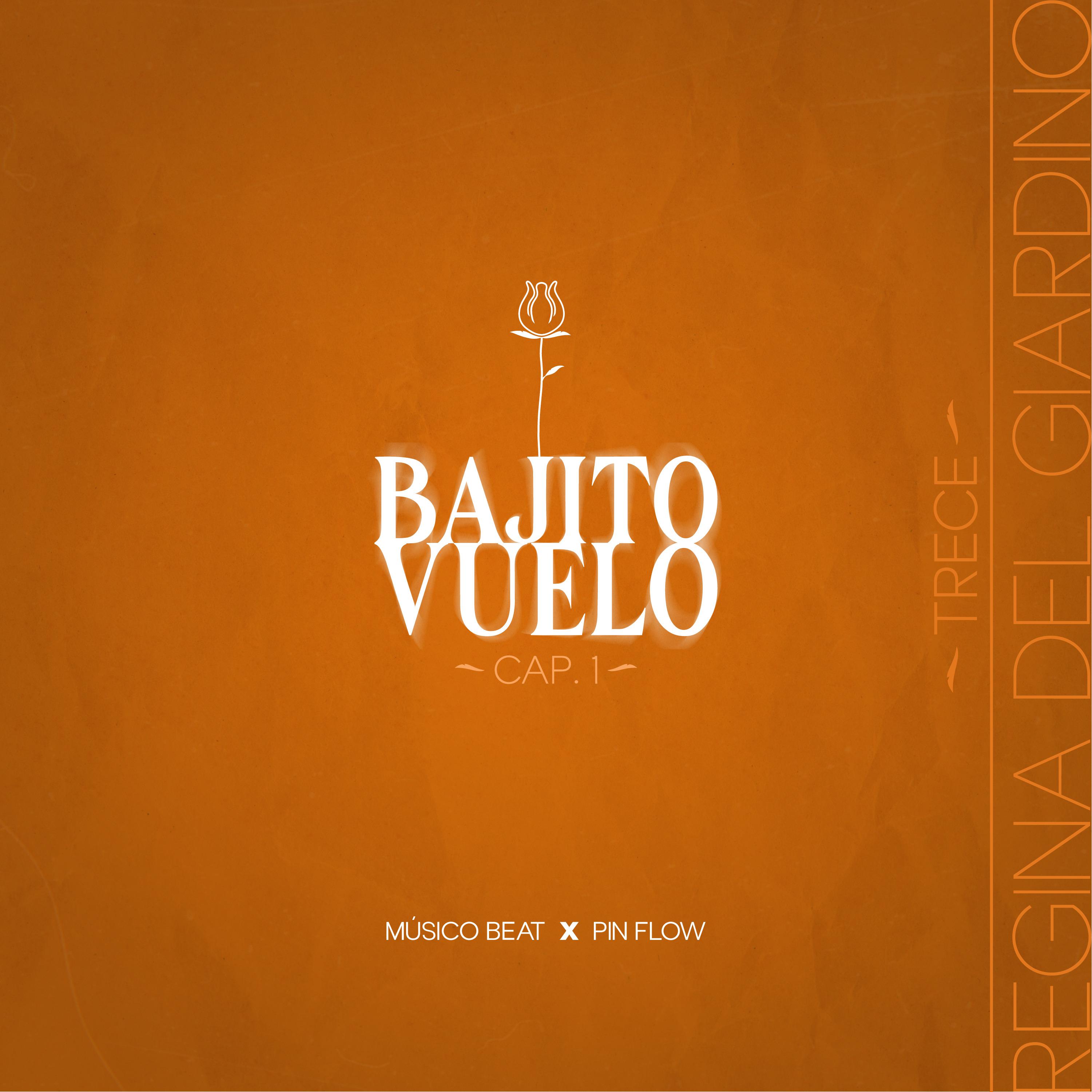 Постер альбома Bajito Vuelo, Capítulo 1