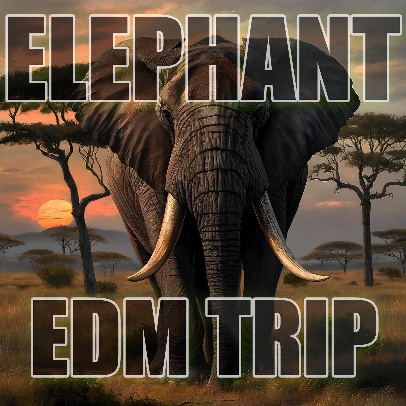 Постер альбома ELEPHANT