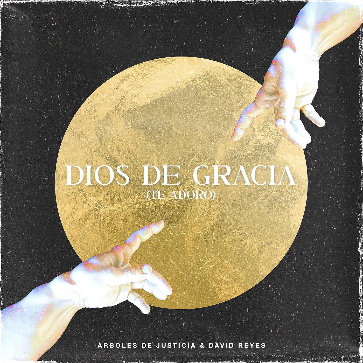 Постер альбома Dios De Gracia (Te Adoro)
