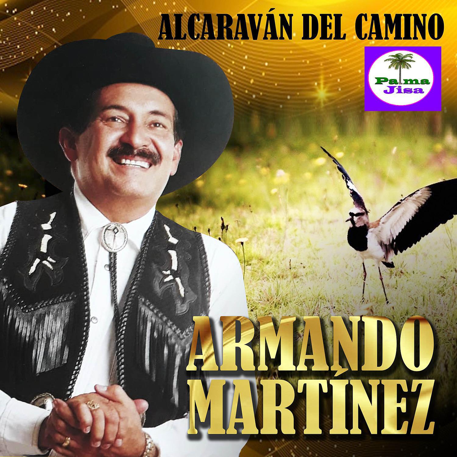 Постер альбома Alcaraván del Camino