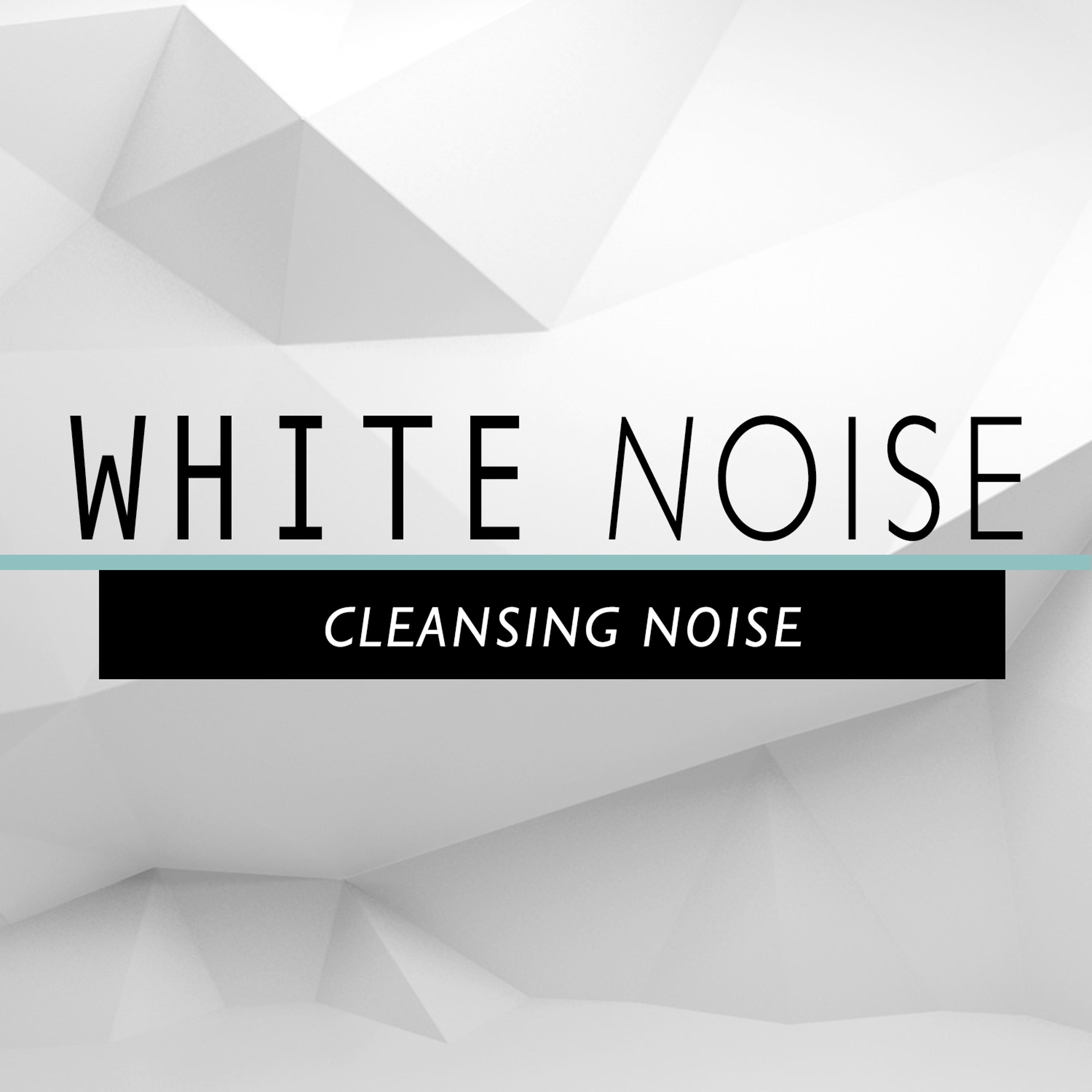 Постер альбома White Noise: Cleansing Noise