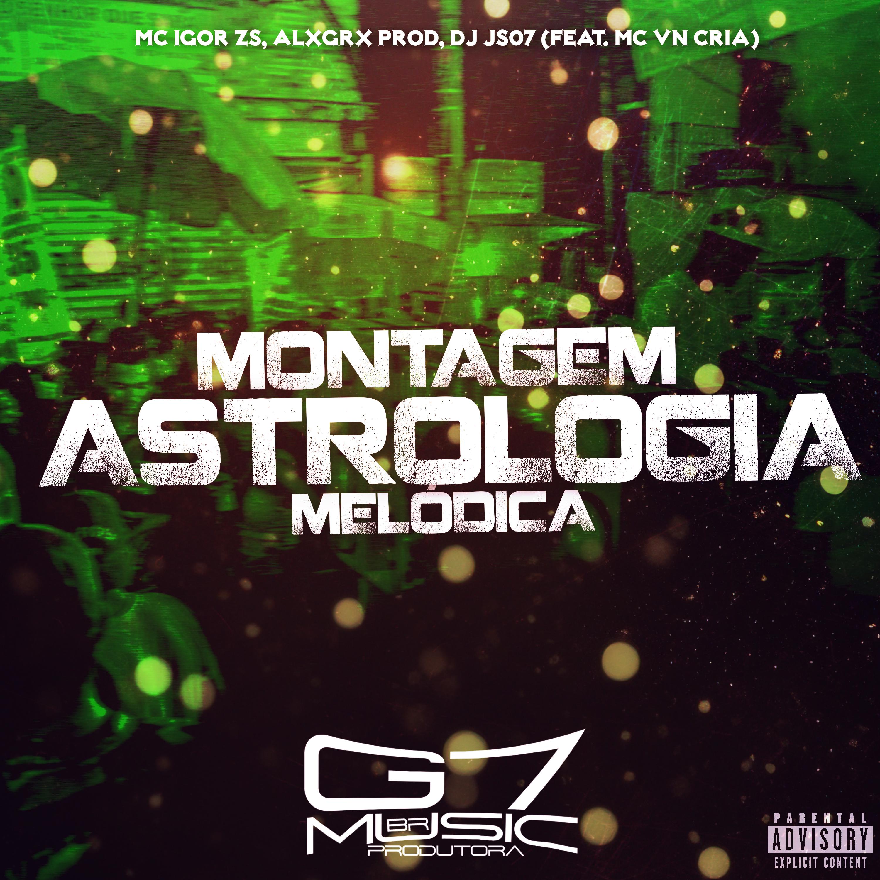 Постер альбома Montagem Astrologia Melódica