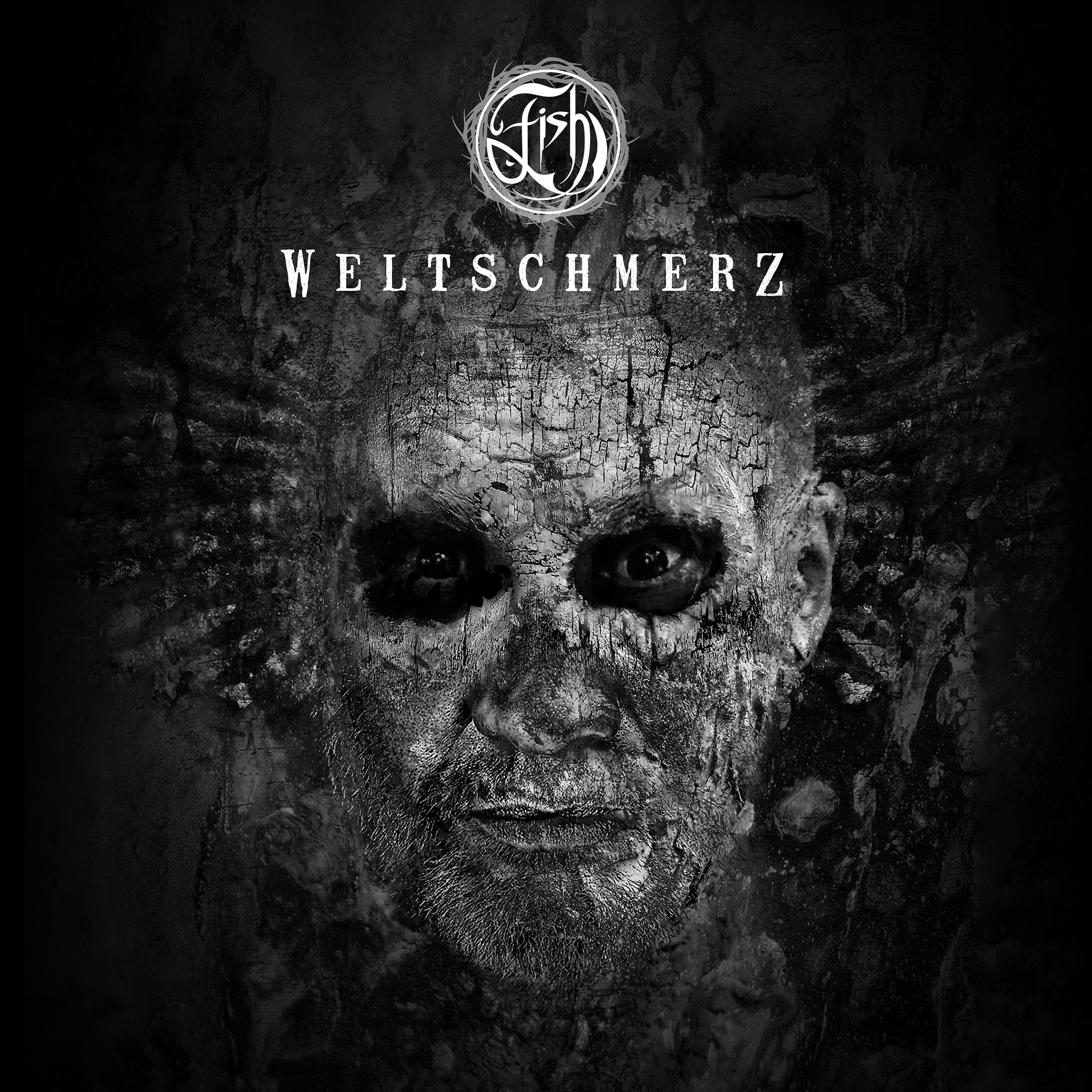 Постер альбома Weltschmerz (Radio Edit)