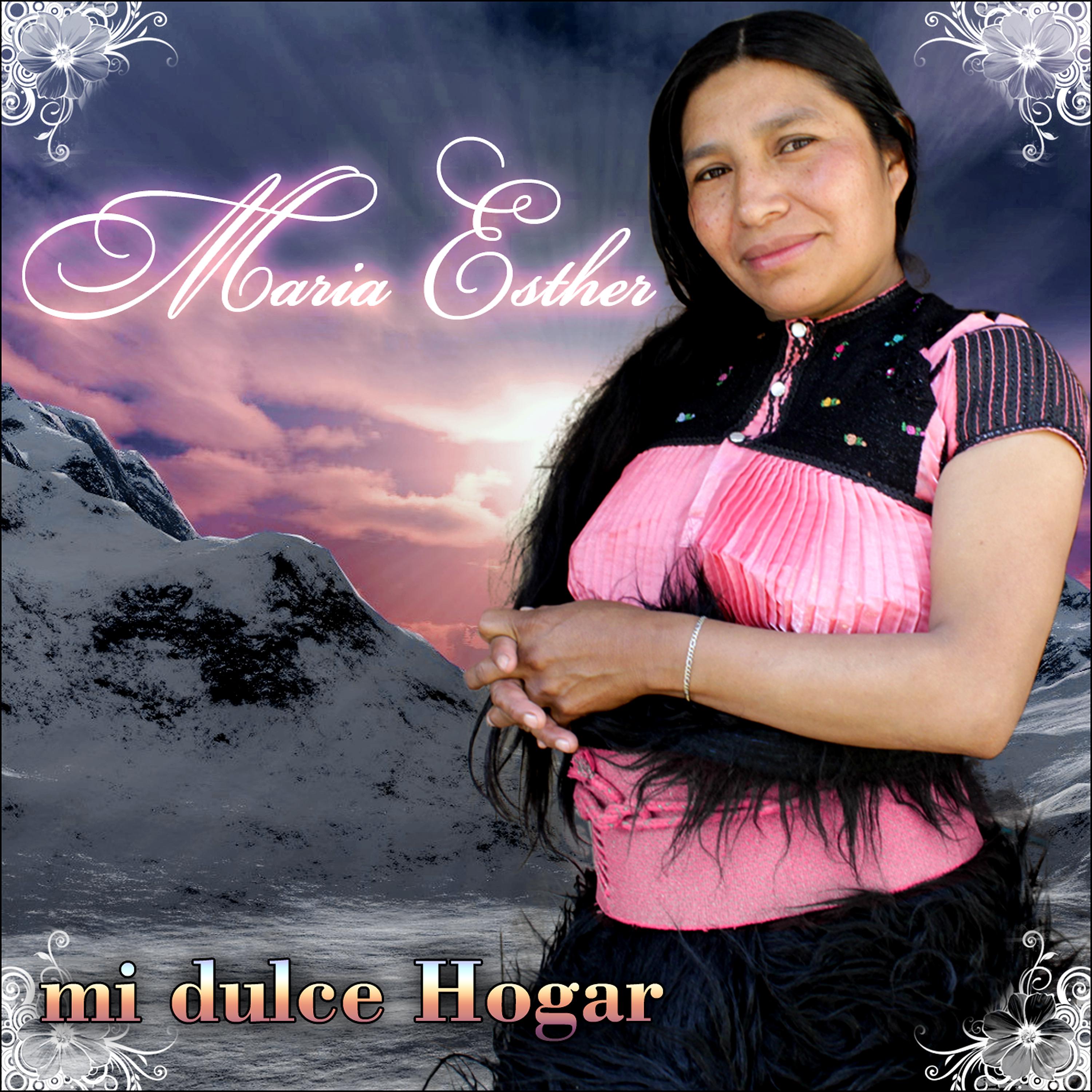 Постер альбома Mi Dulce Hogar