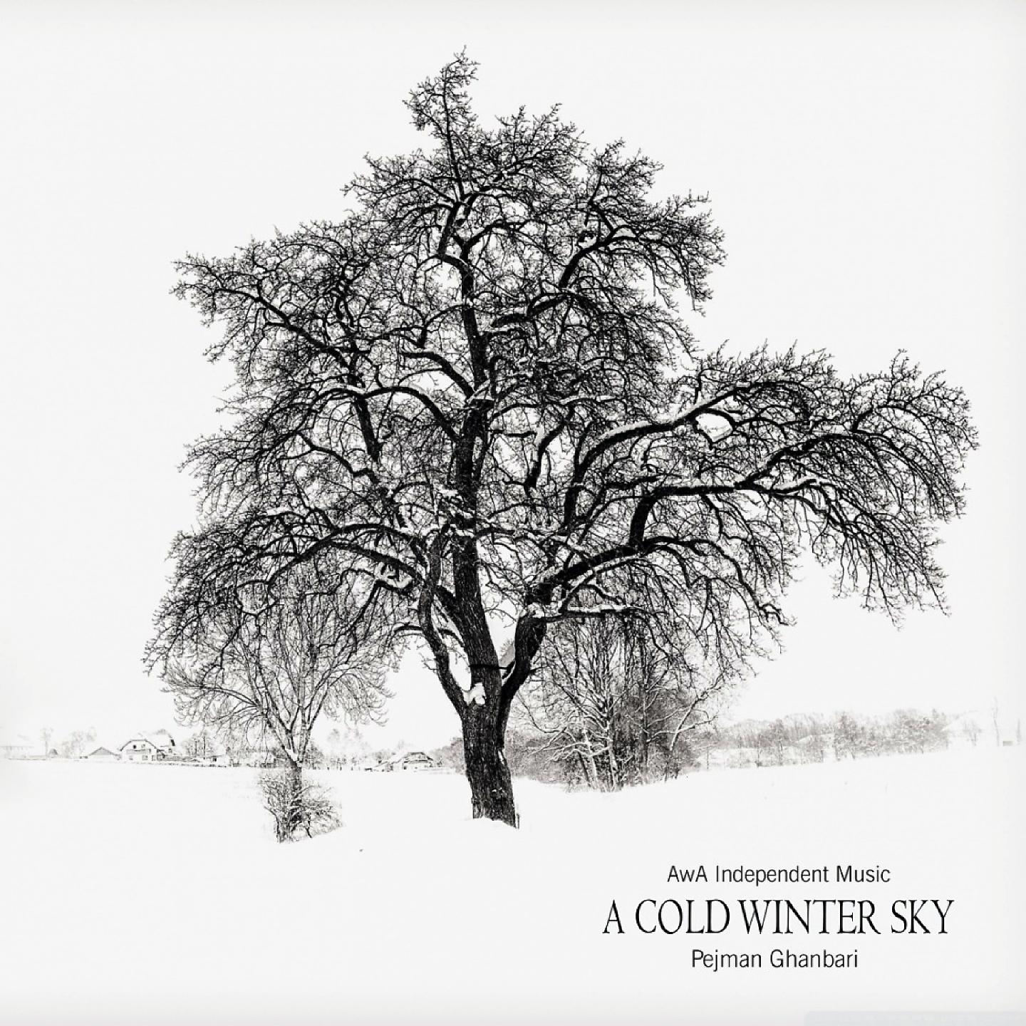 Постер альбома A Cold Winter Sky