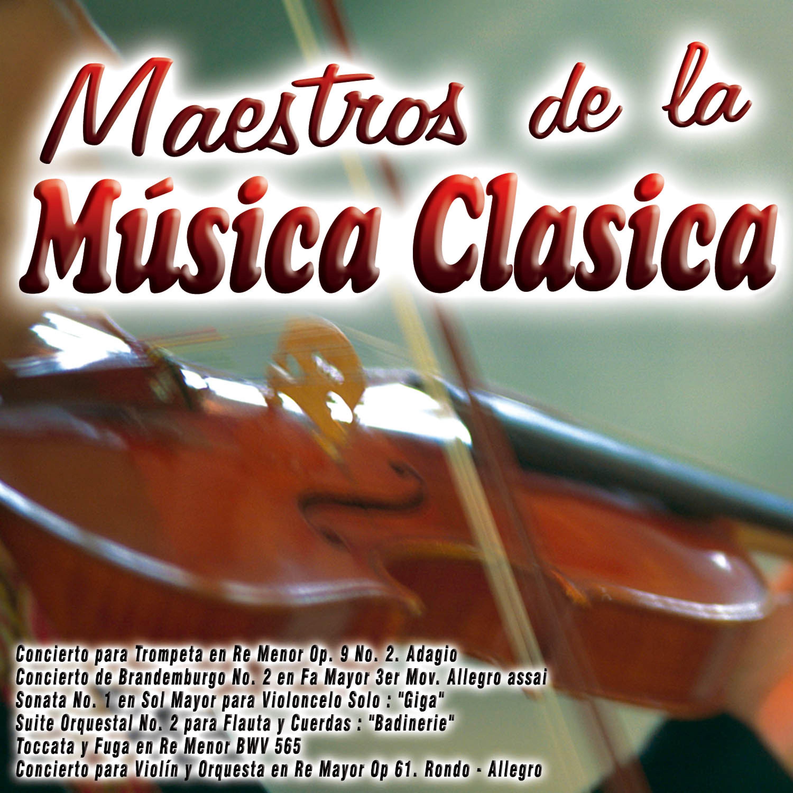 Постер альбома Maestros de la Música Clasica