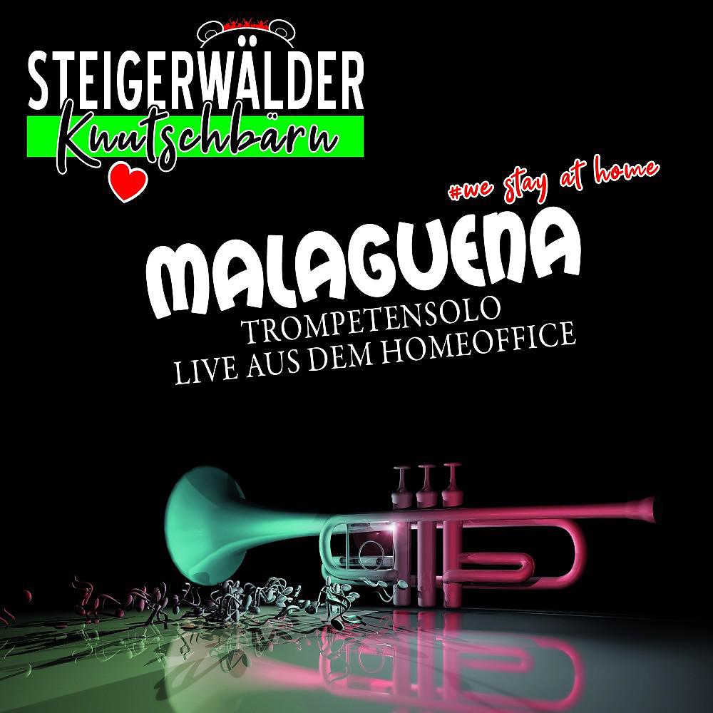 Постер альбома Malaguena
