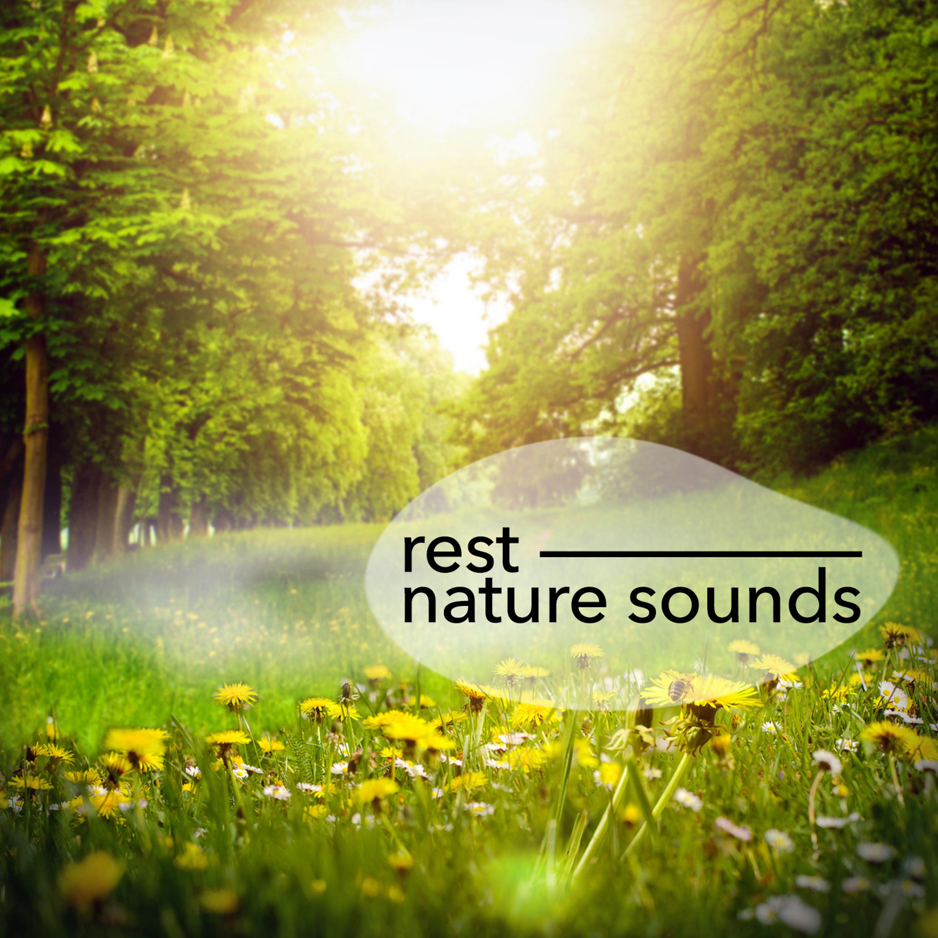 Постер альбома Rest: Nature Sounds