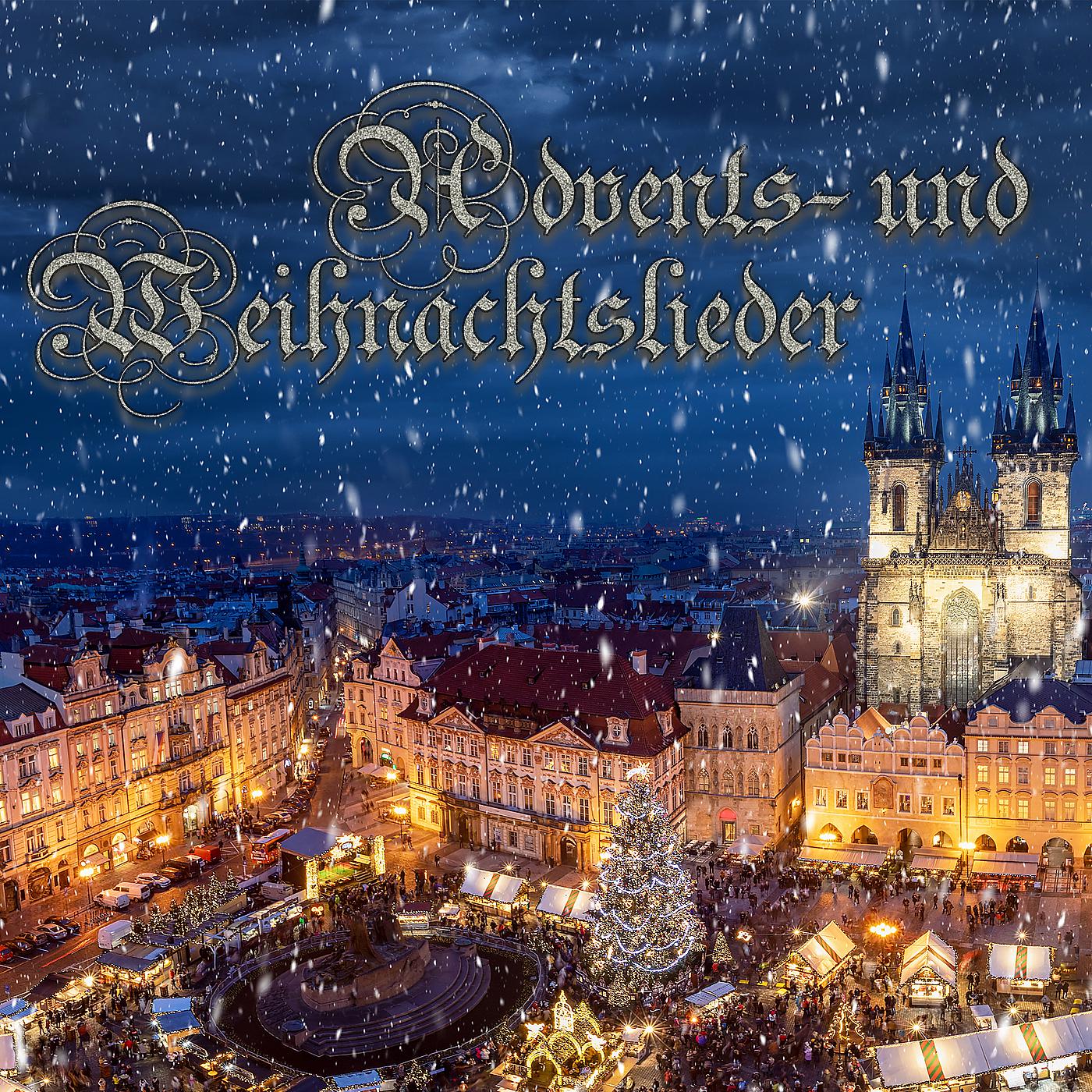 Постер альбома Advents- Und Weihnachtslieder (Orgelmusik)