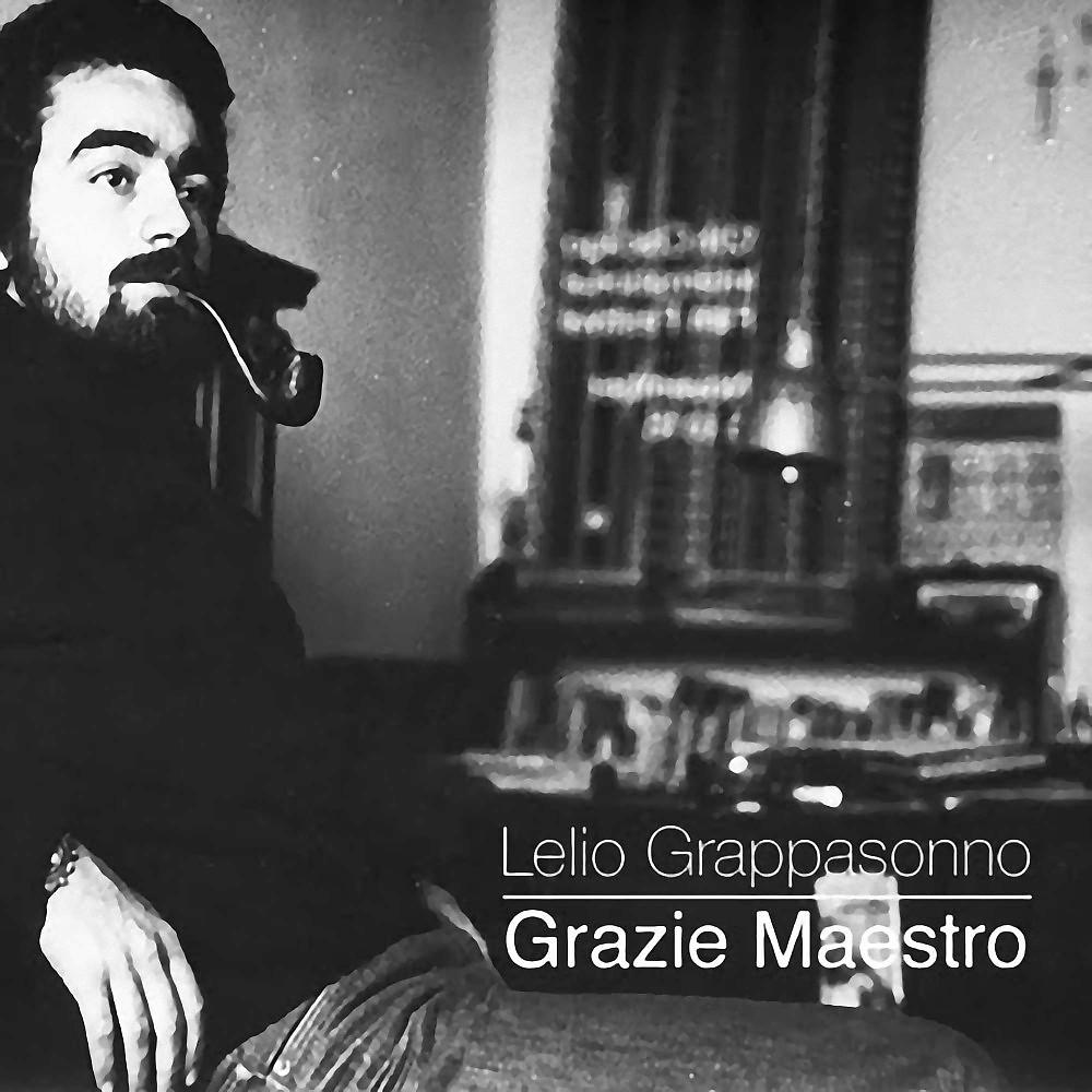 Постер альбома Grazie Maestro (Ai piccoli grandi uomini)