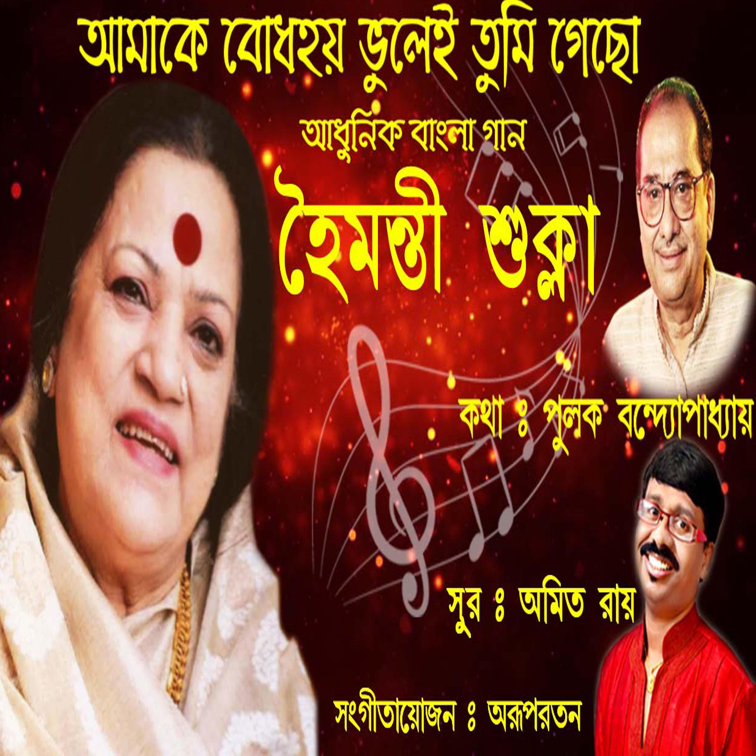 Постер альбома Aamake Bodhhoy Bhulei Tumi Gecho