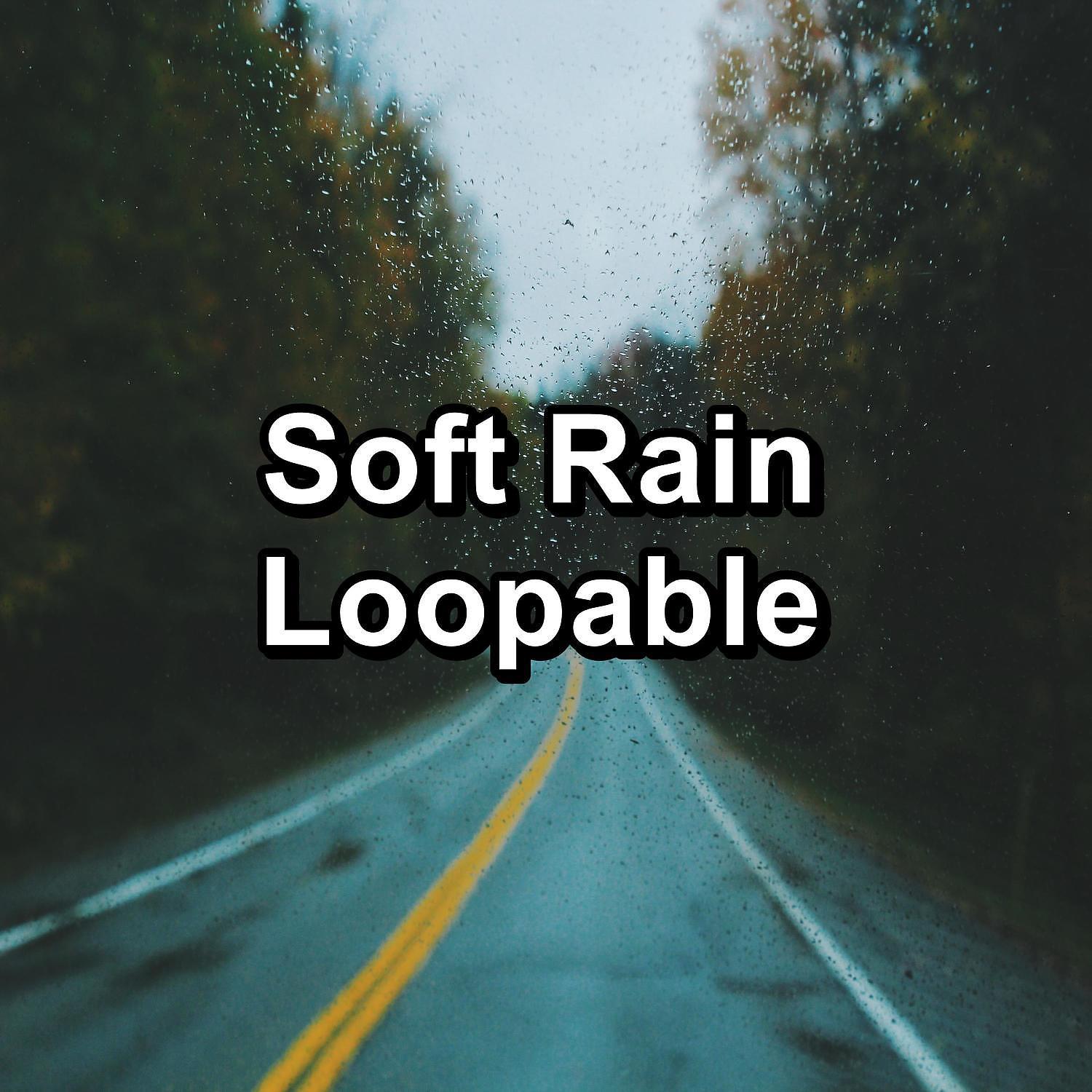 Постер альбома Soft Rain Loopable