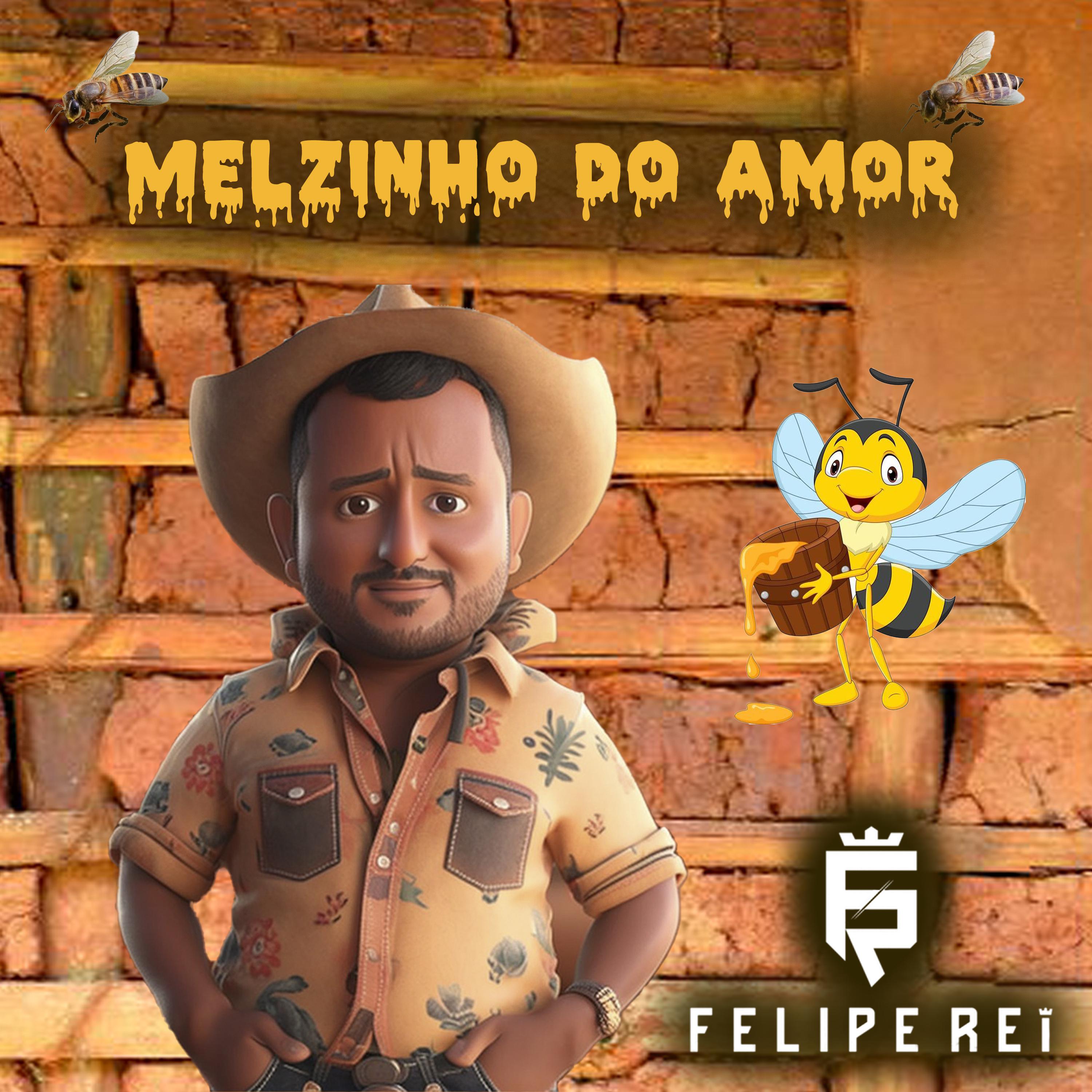 Постер альбома Melzinho do Amor