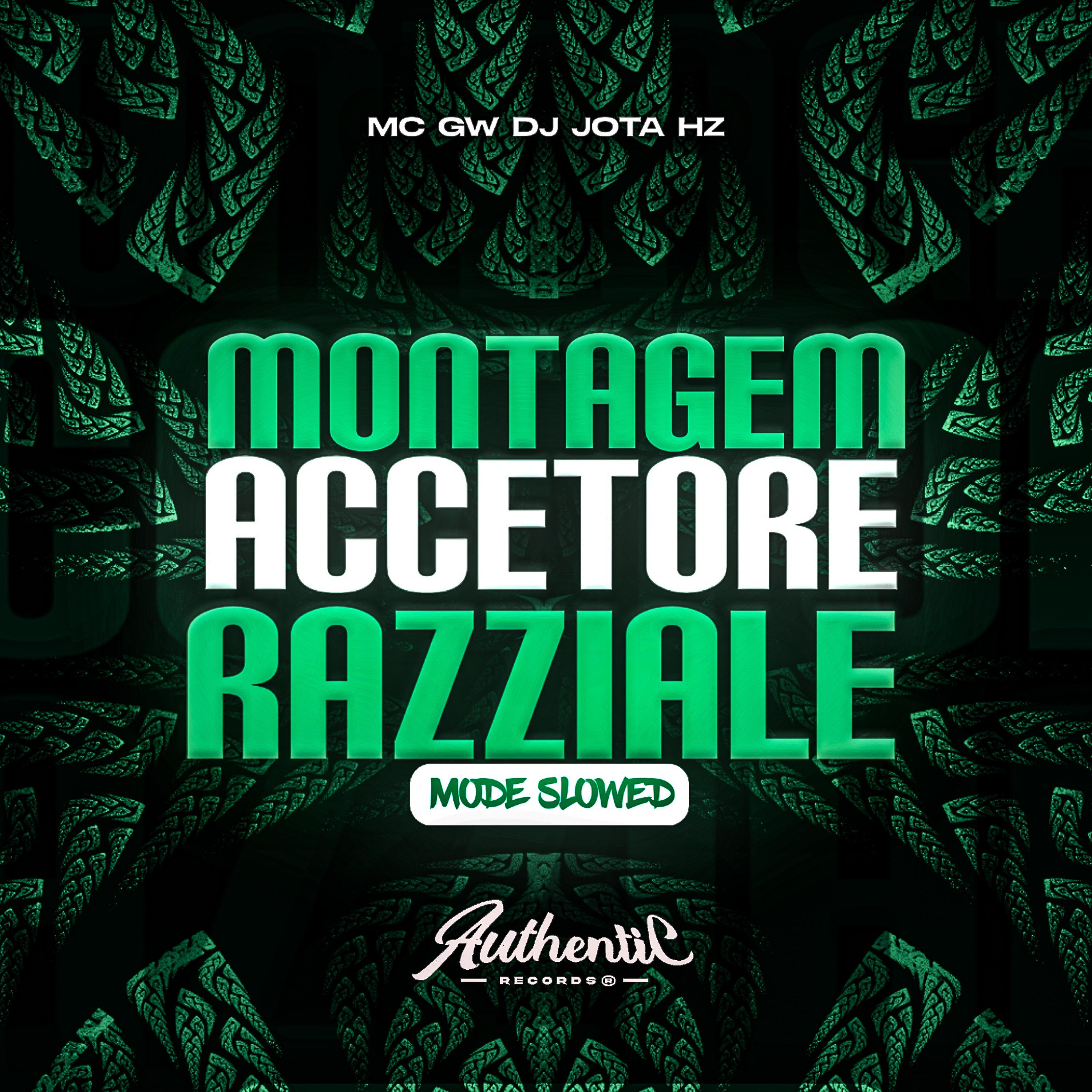 Постер альбома Montagem Accettore Razziale (Mode Slowed)