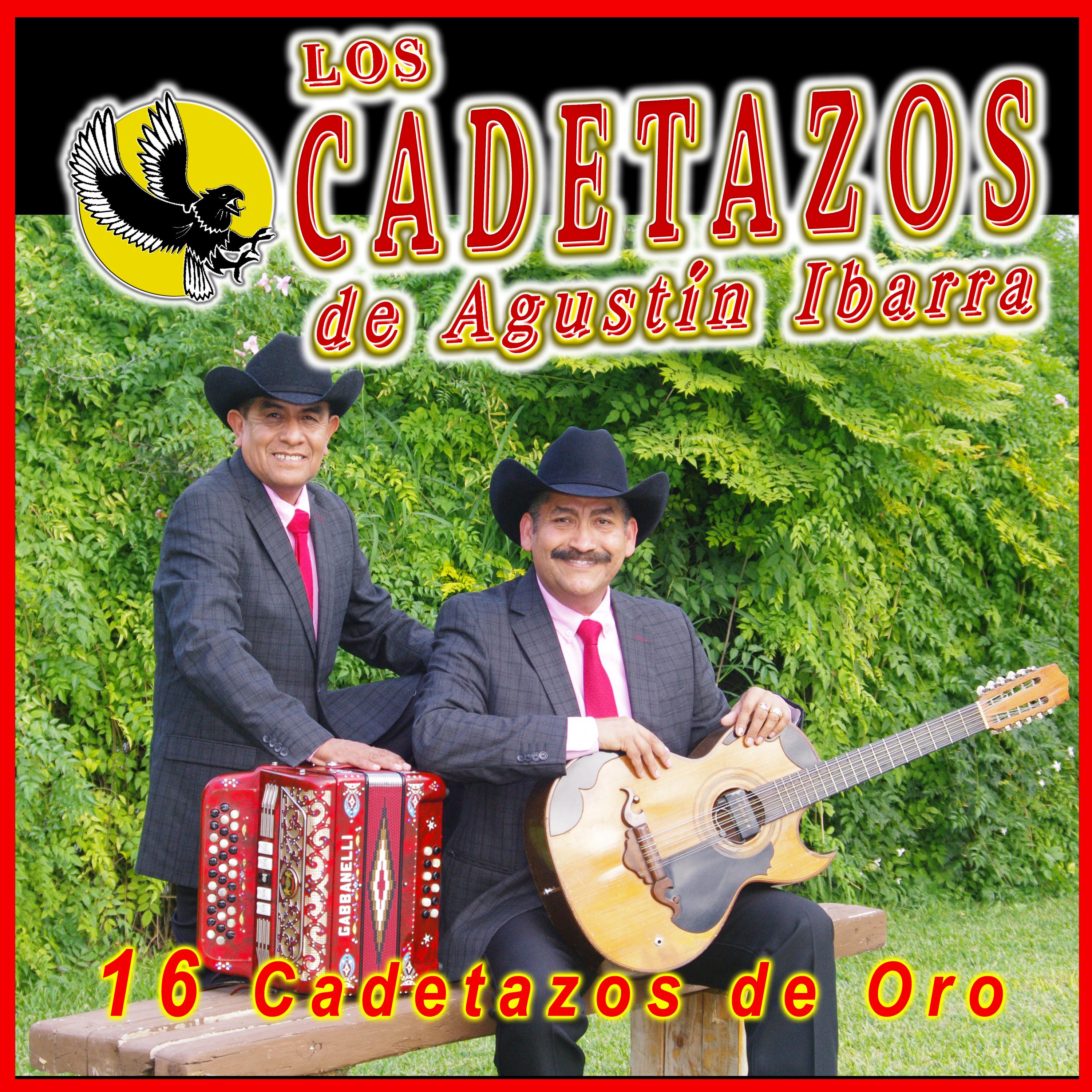 Постер альбома 16 Cadetazos de Oro