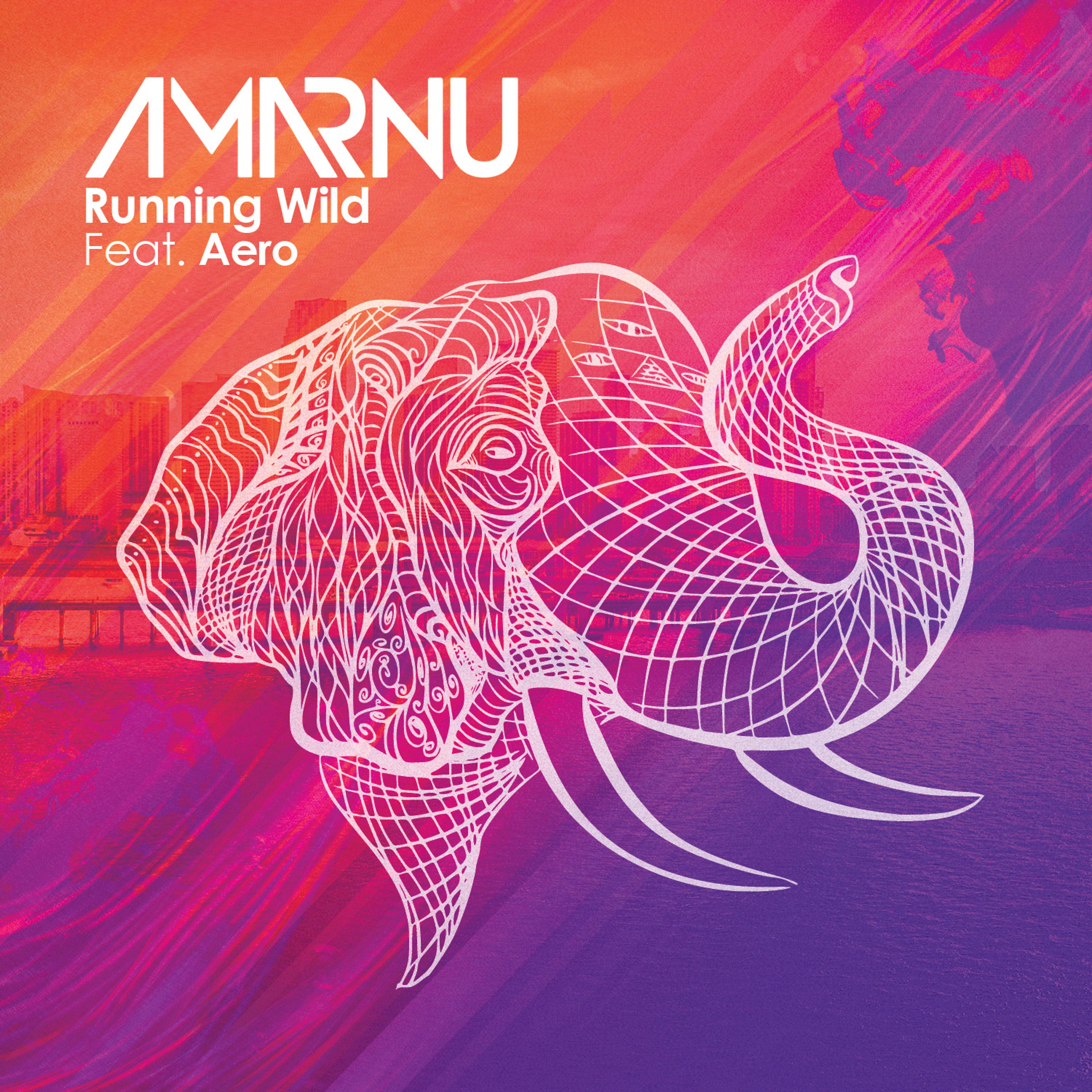 Постер альбома Running Wild (feat. Aero)